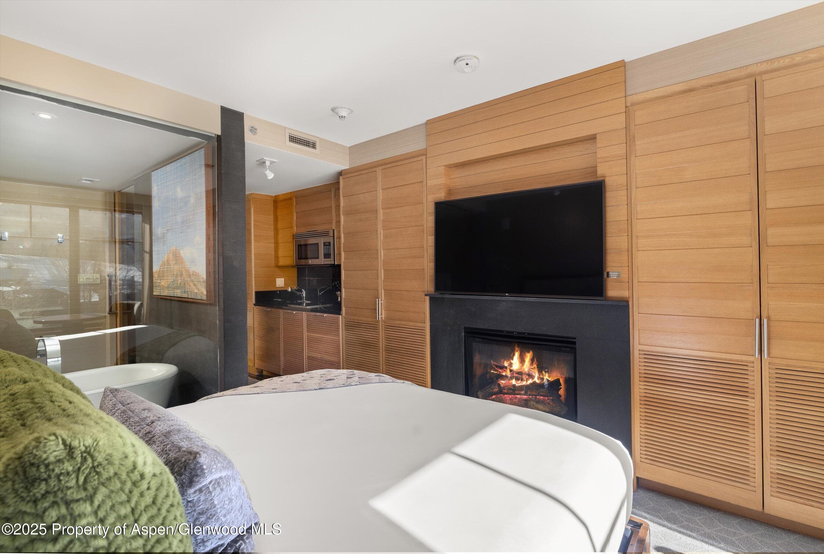 130 Wood Road 536, Snowmass Village, CO 81615 - Photo 3