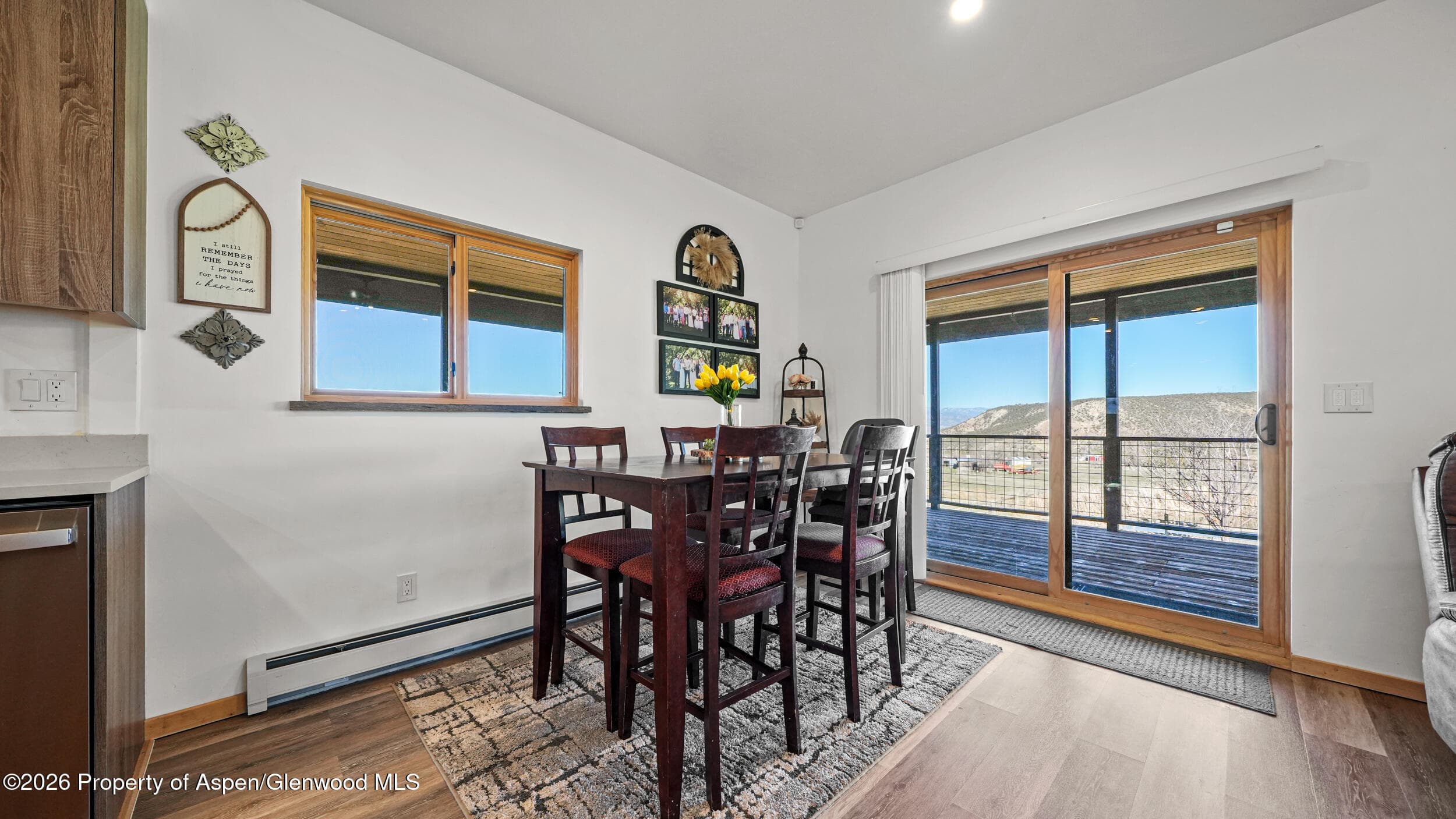 9109 County Road 320, Rifle, CO 81650 - Photo 11