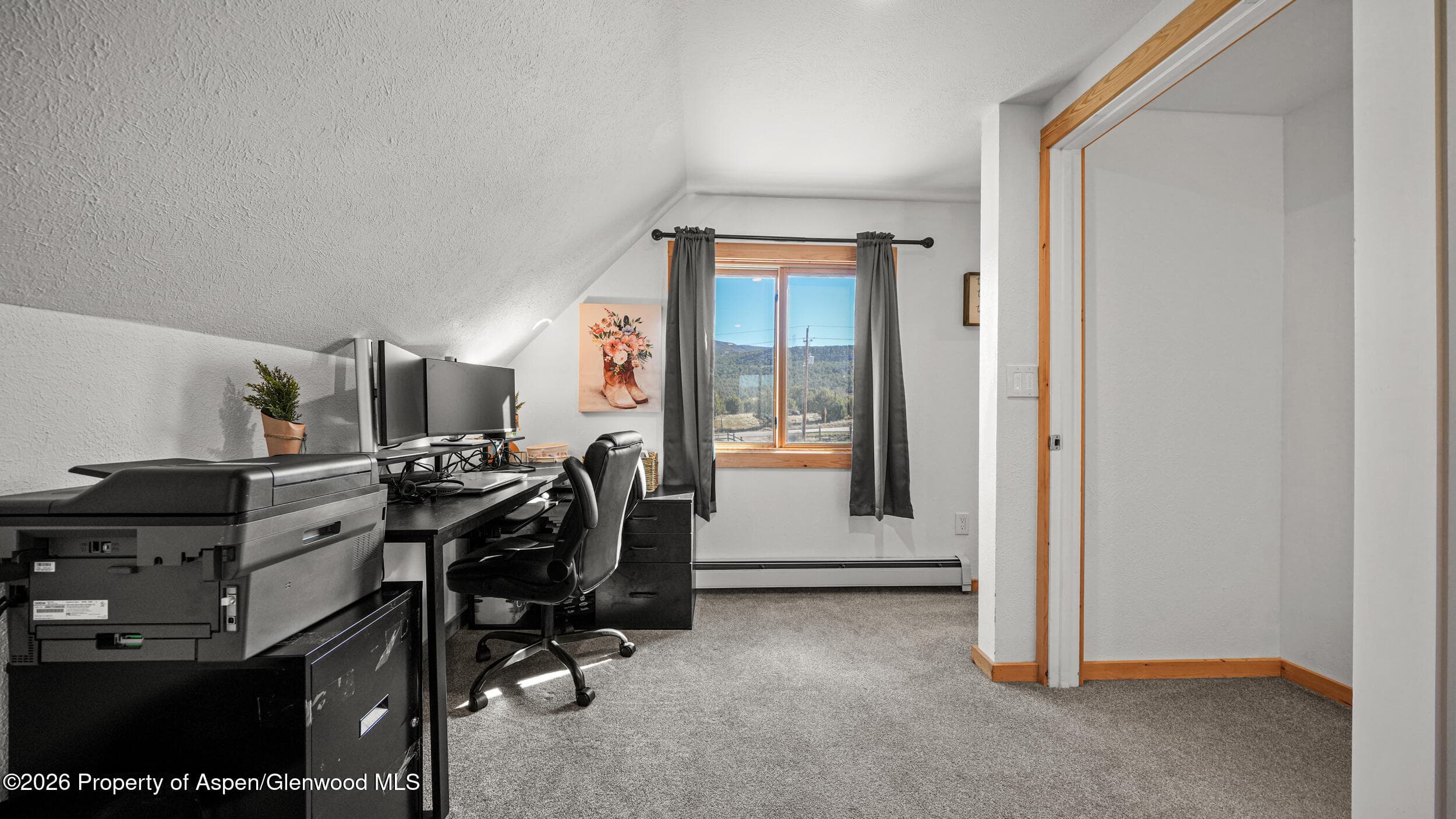 9109 County Road 320, Rifle, CO 81650 - Photo 17
