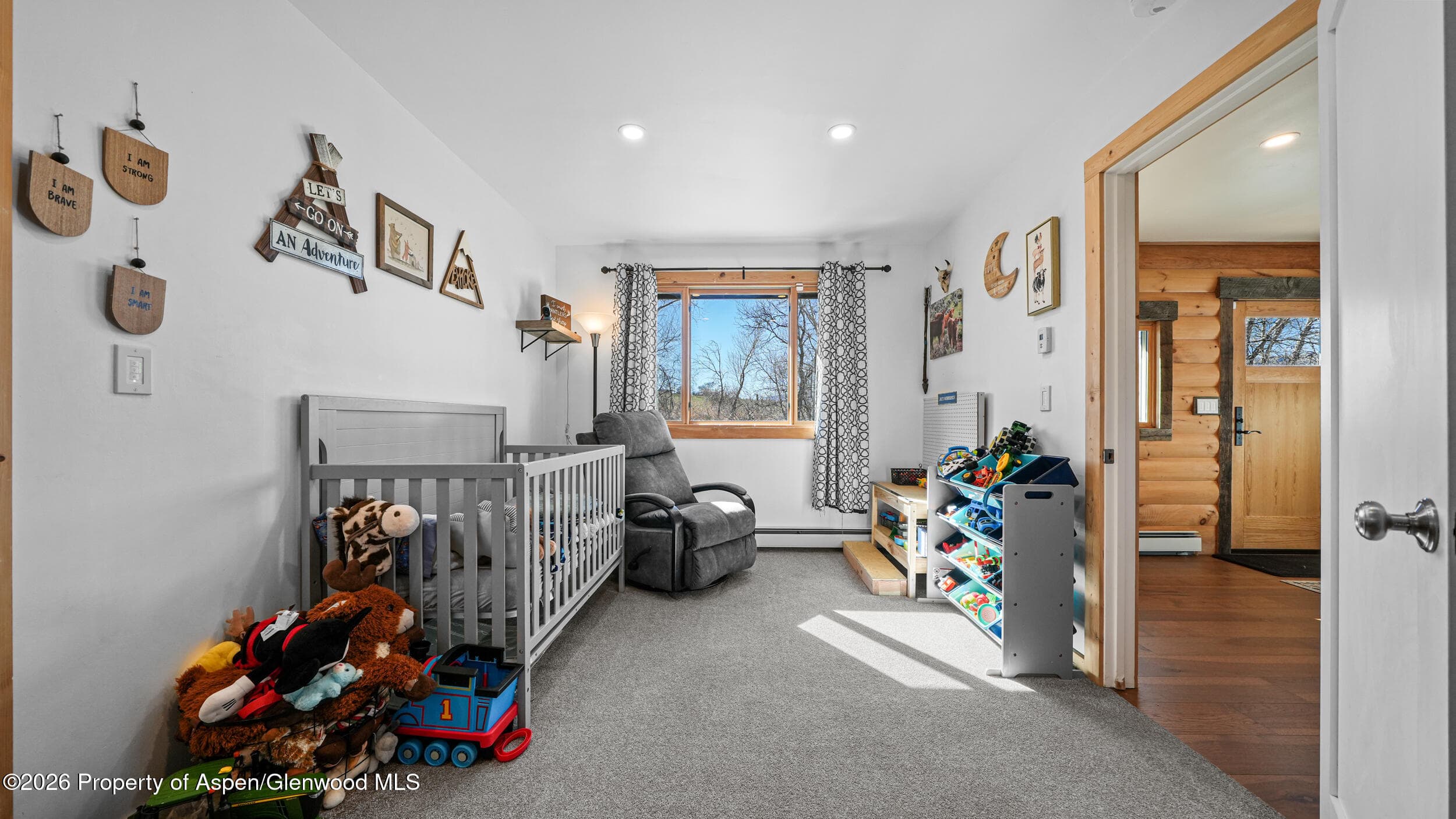 9109 County Road 320, Rifle, CO 81650 - Photo 21