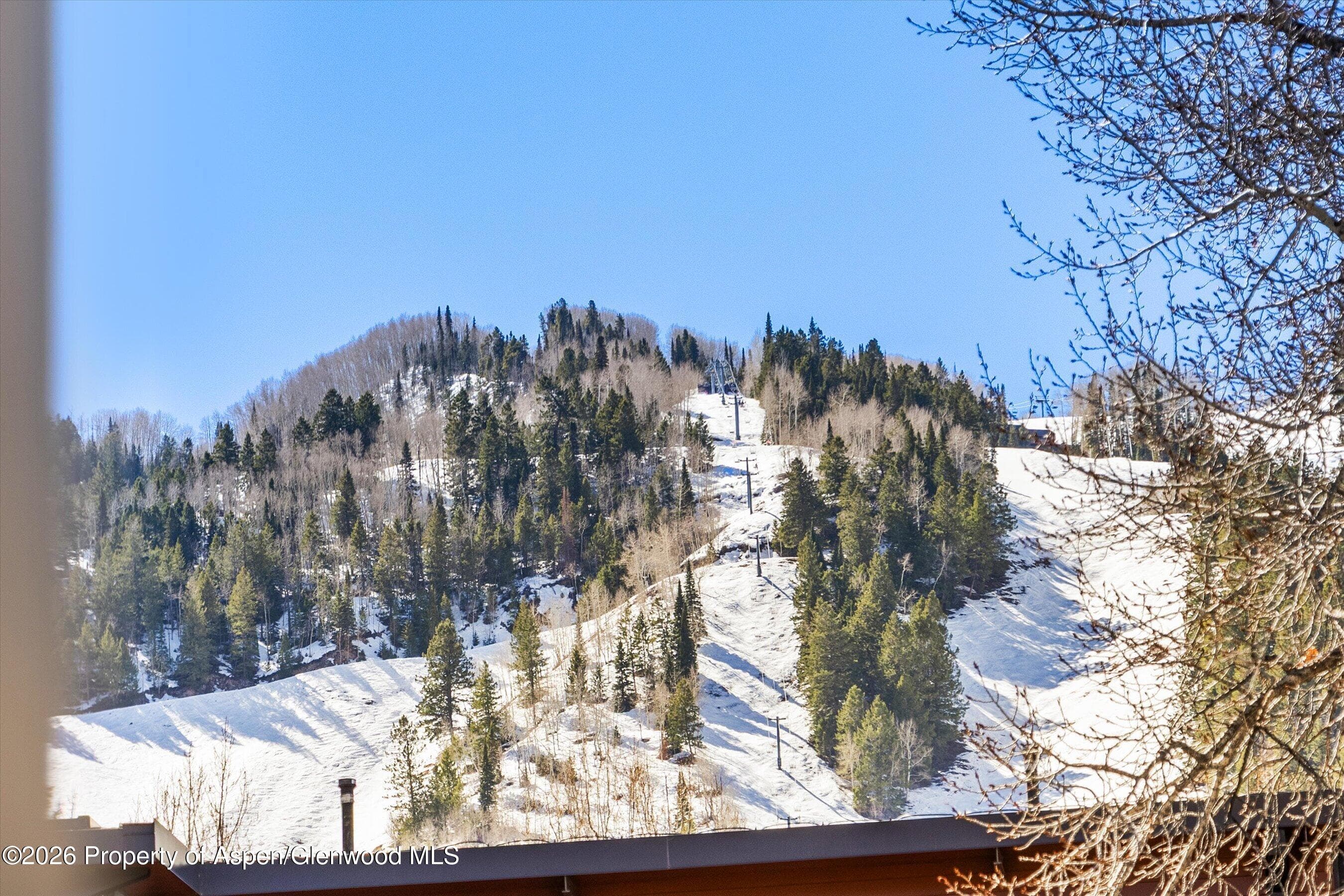 210 E Cooper Avenue 1-C, Aspen, CO 81611 - Photo 9