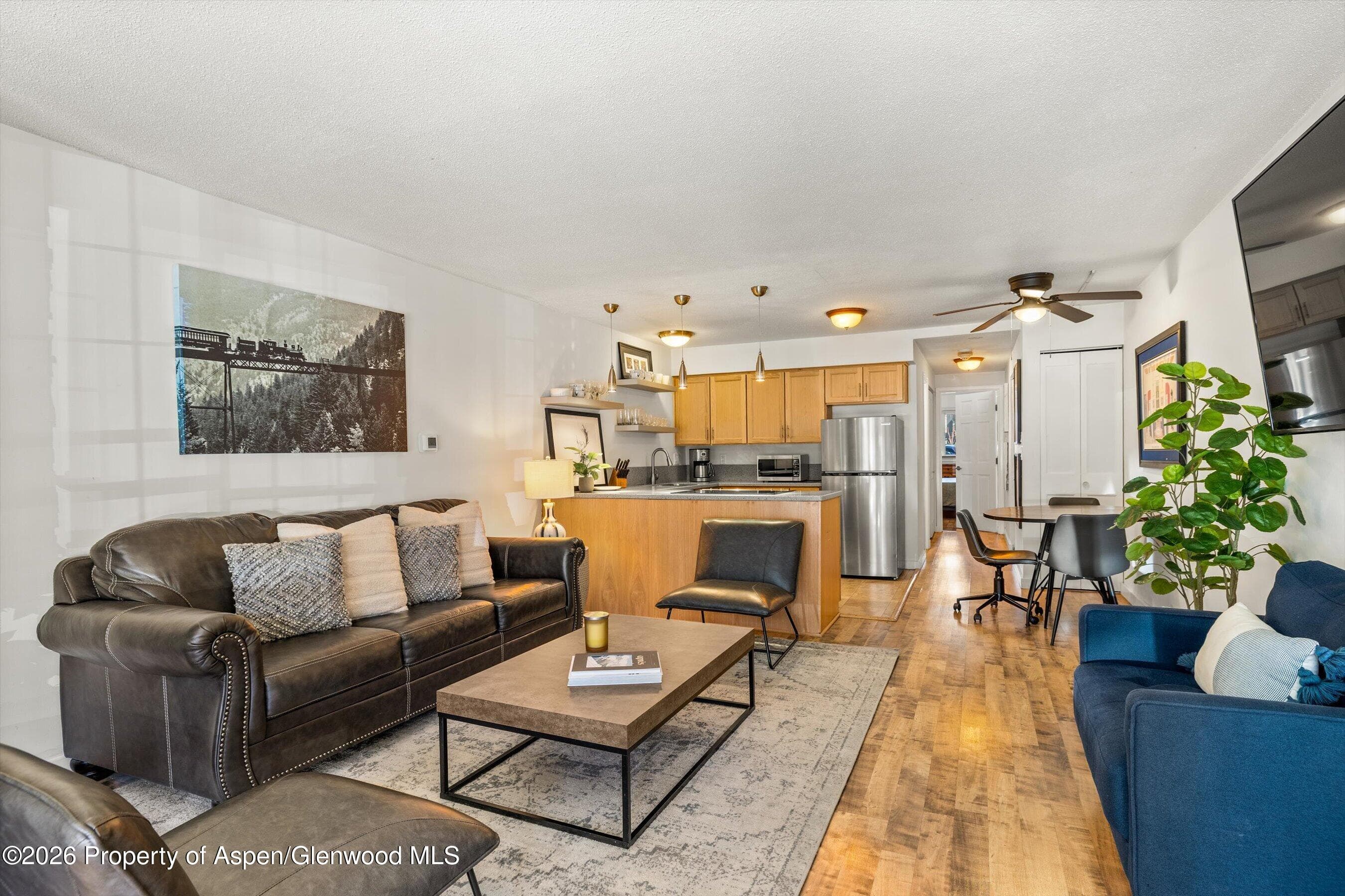 210 E Cooper Avenue 1-C, Aspen, CO 81611 - Photo 3