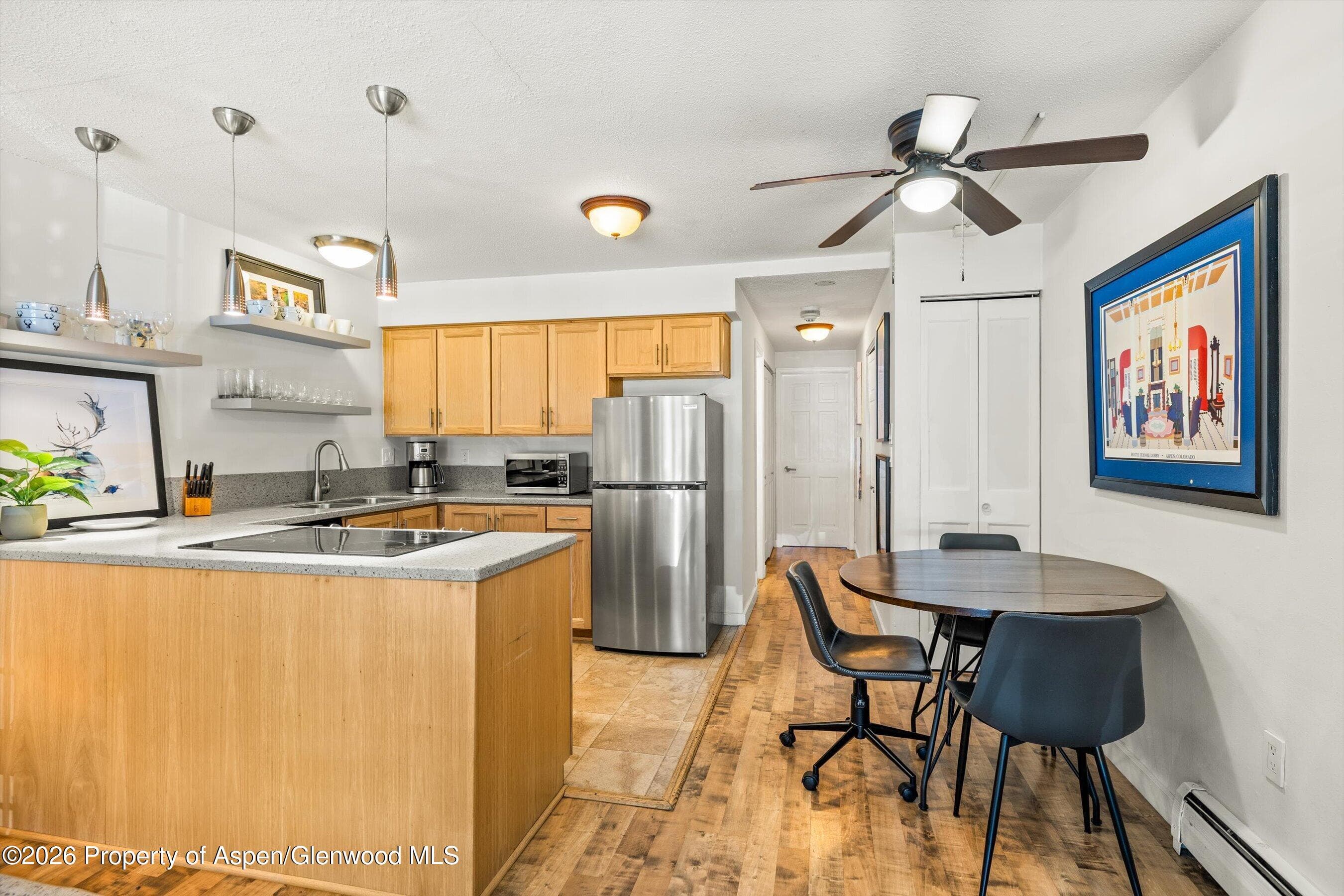 210 E Cooper Avenue 1-C, Aspen, CO 81611 - Photo 4