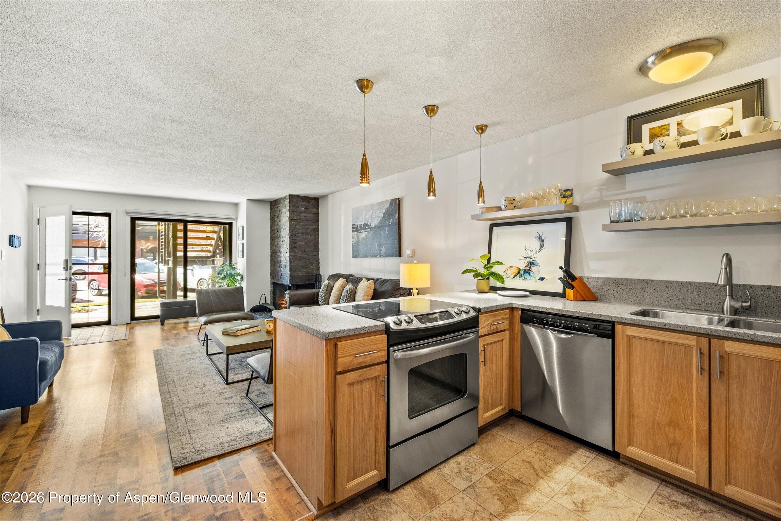 210 E Cooper Avenue 1-C, Aspen, CO 81611 - Photo 5