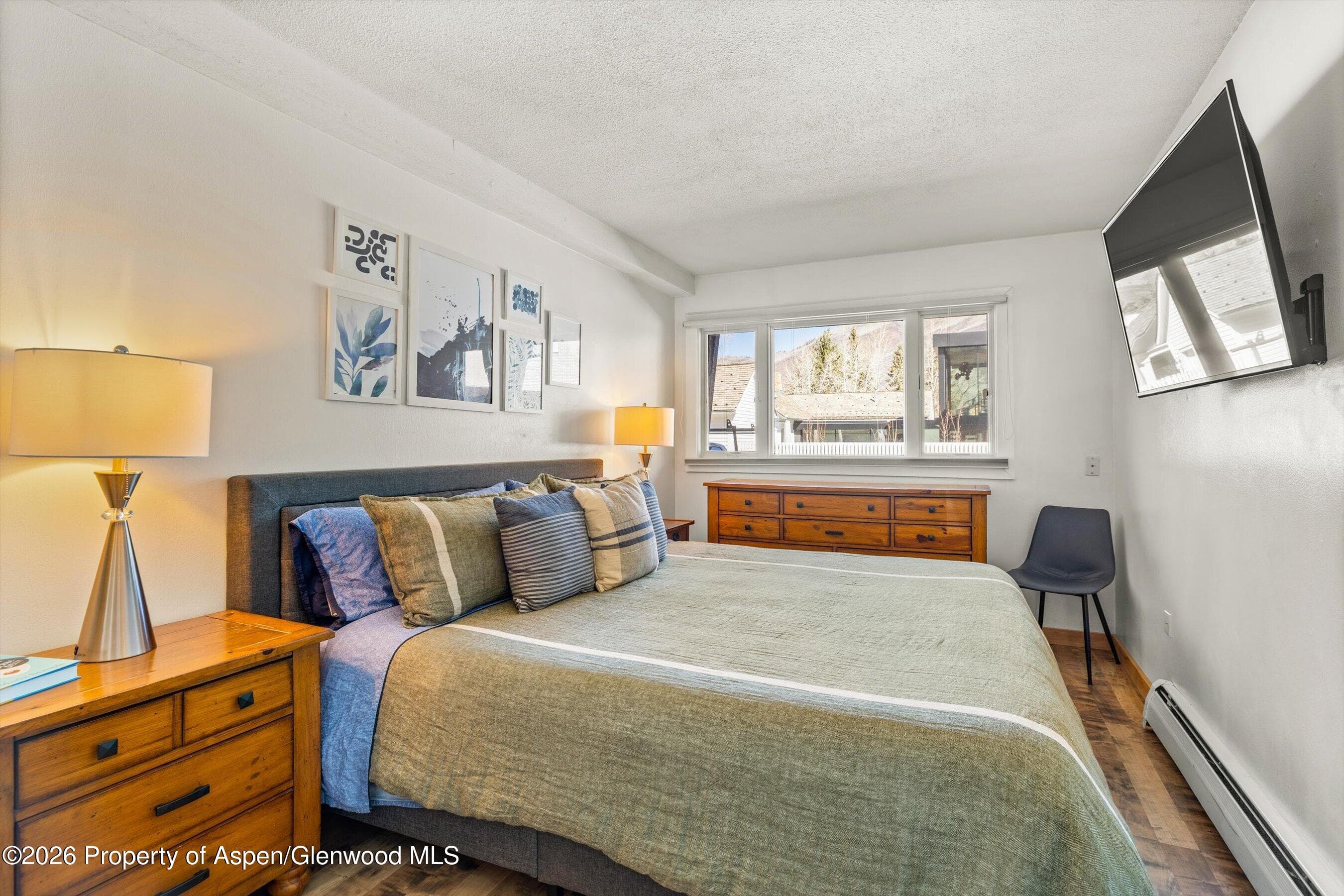 210 E Cooper Avenue 1-C, Aspen, CO 81611 - Photo 6