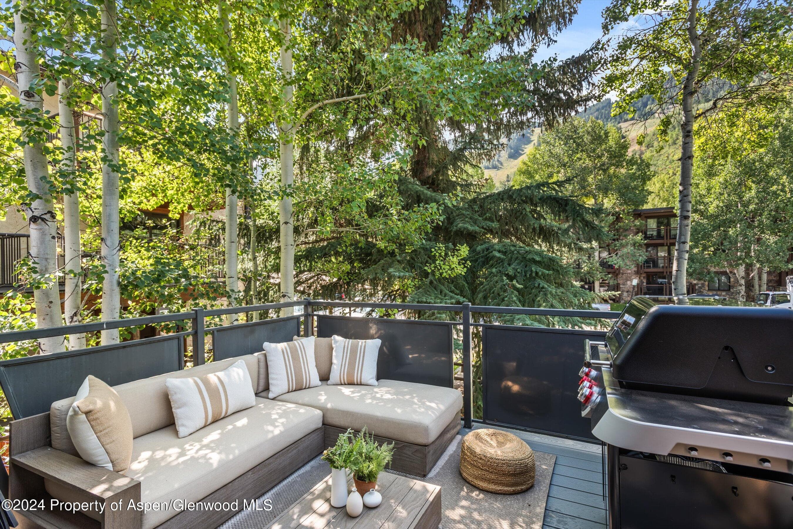 124 E Durant Avenue Unit 1, Aspen, CO 81611 - Photo 4