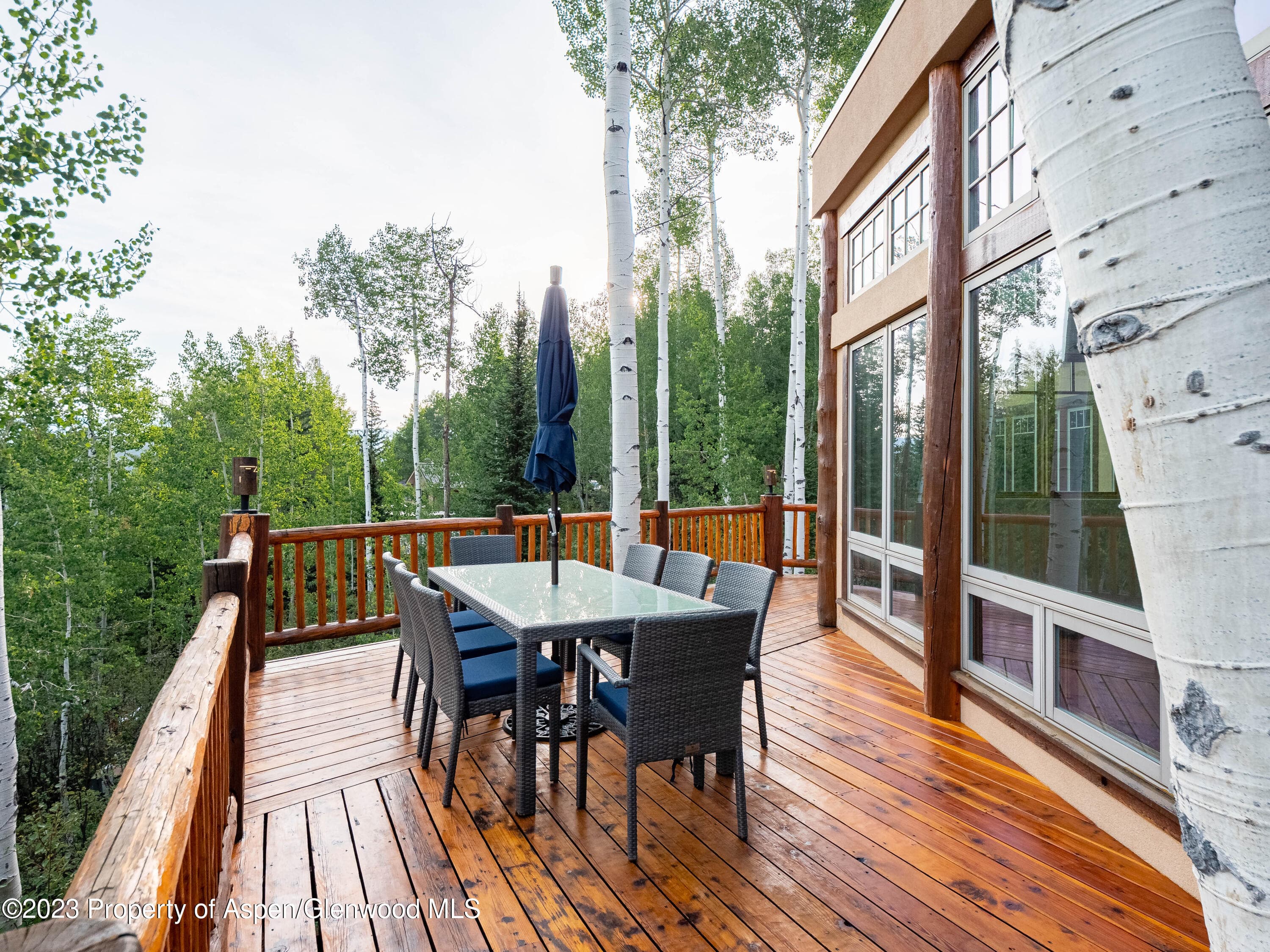 40 Maple Ridge Lane, Snowmass Village, CO 81615 - Photo 6