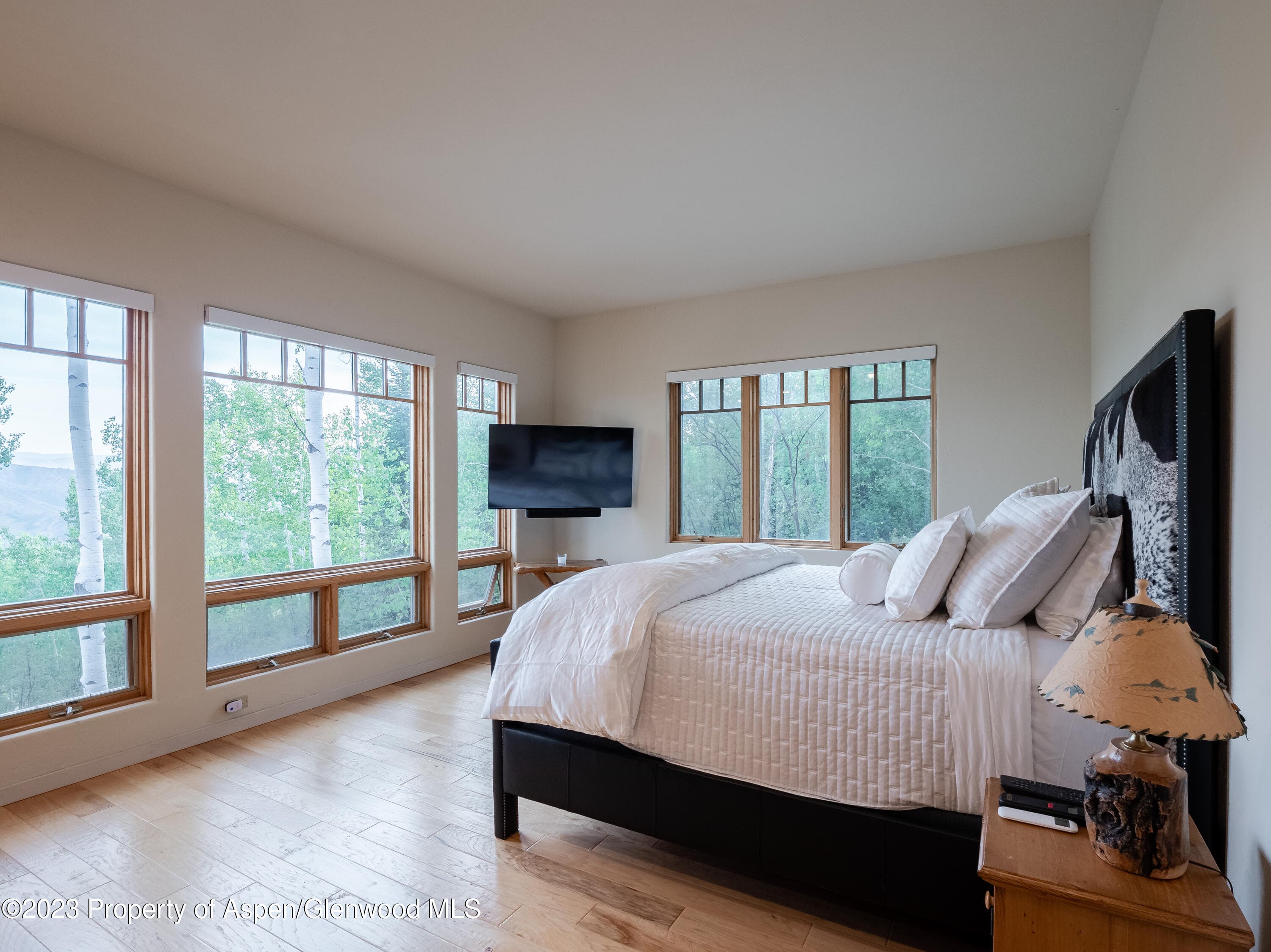 40 Maple Ridge Lane, Snowmass Village, CO 81615 - Photo 17