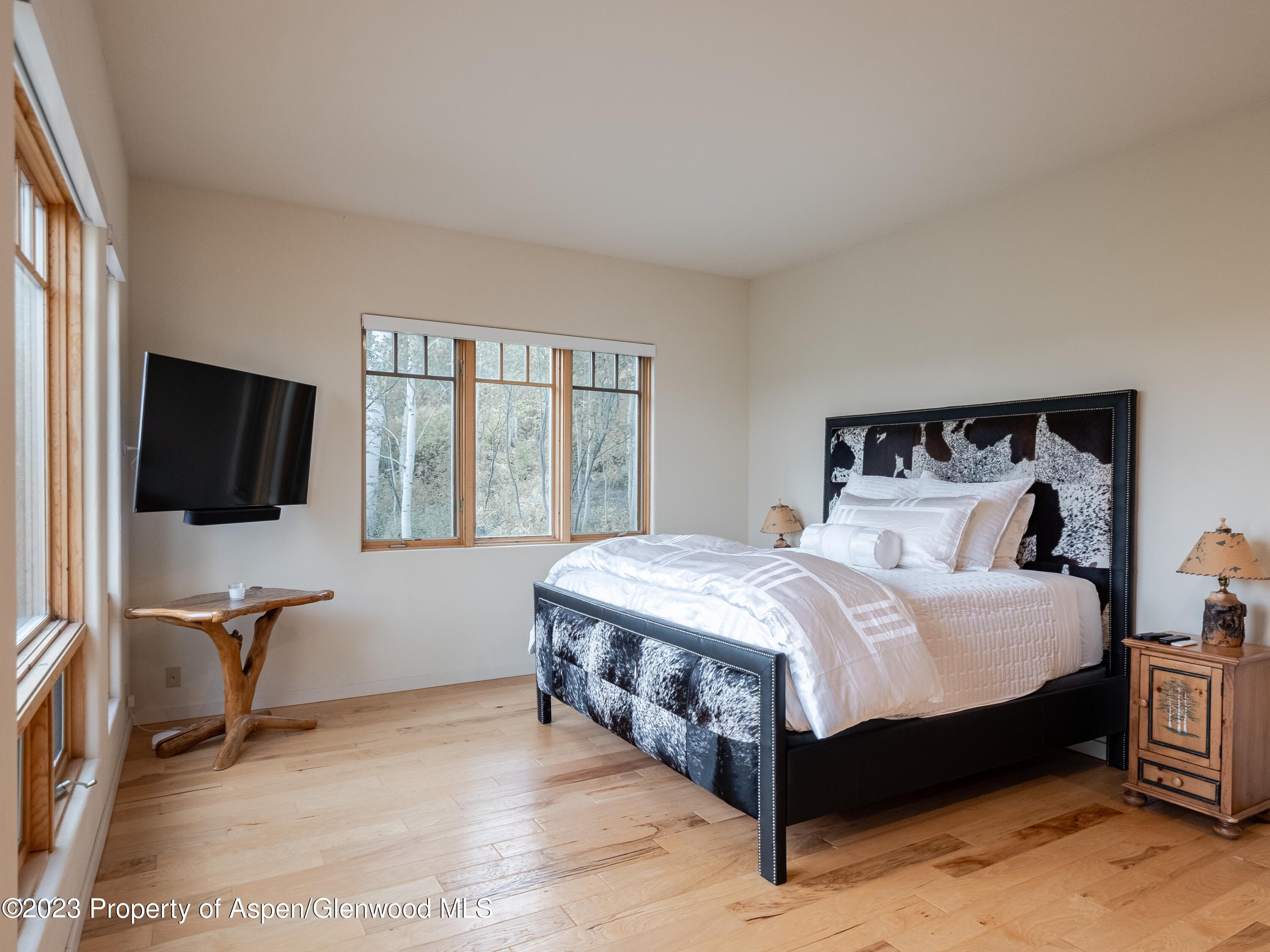 40 Maple Ridge Lane, Snowmass Village, CO 81615 - Photo 18