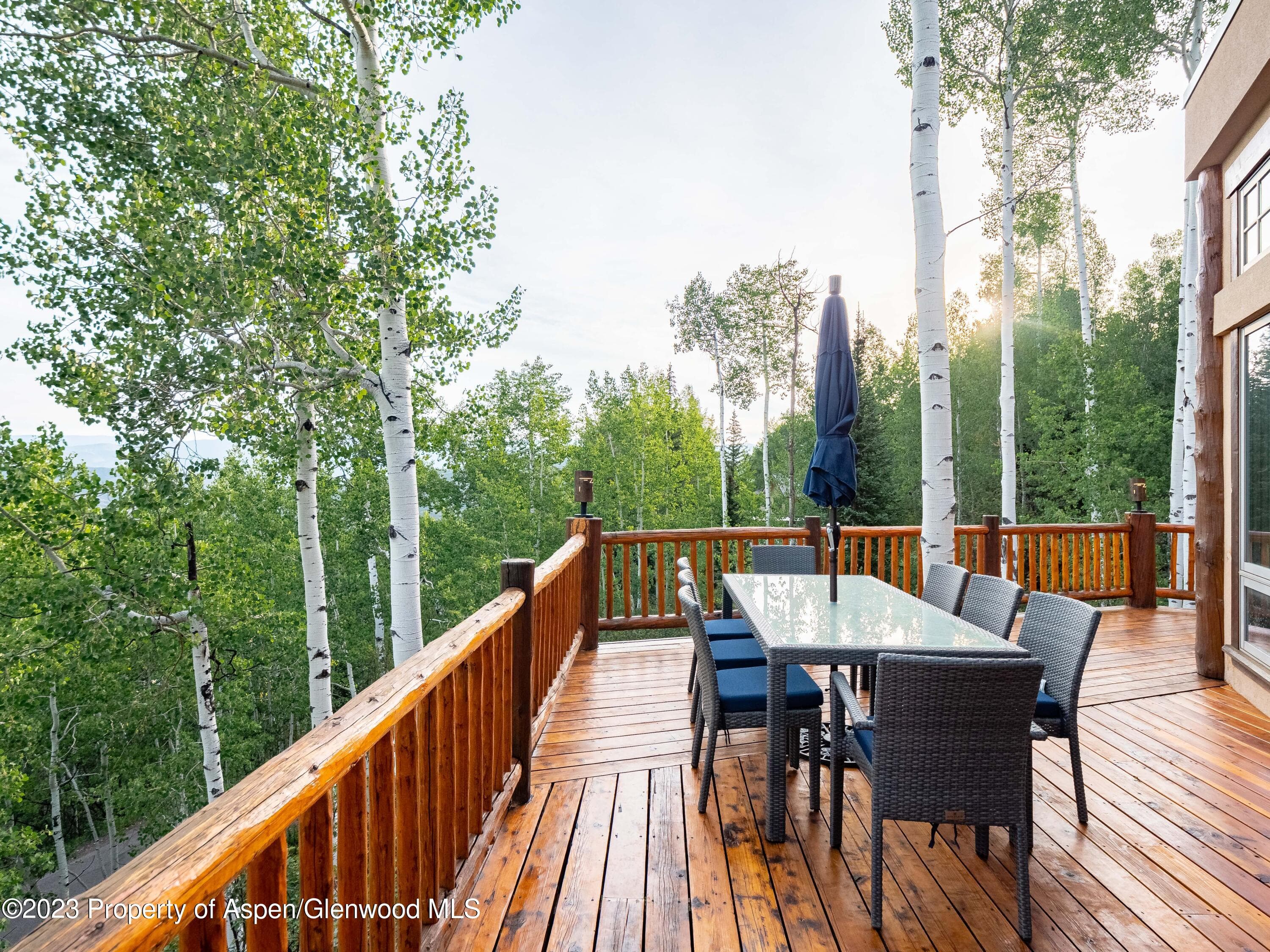 40 Maple Ridge Lane, Snowmass Village, CO 81615 - Photo 36