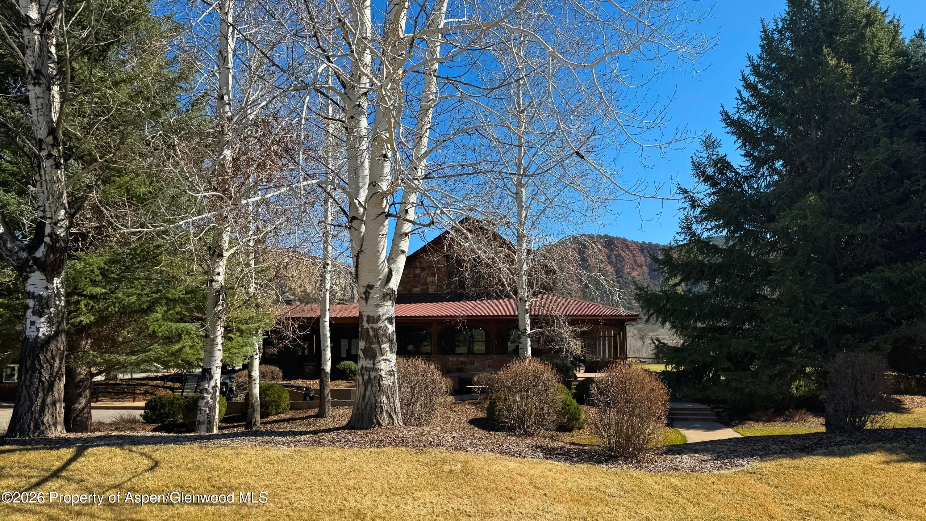 29 Primrose Road, Carbondale, CO 81623 - Photo 37