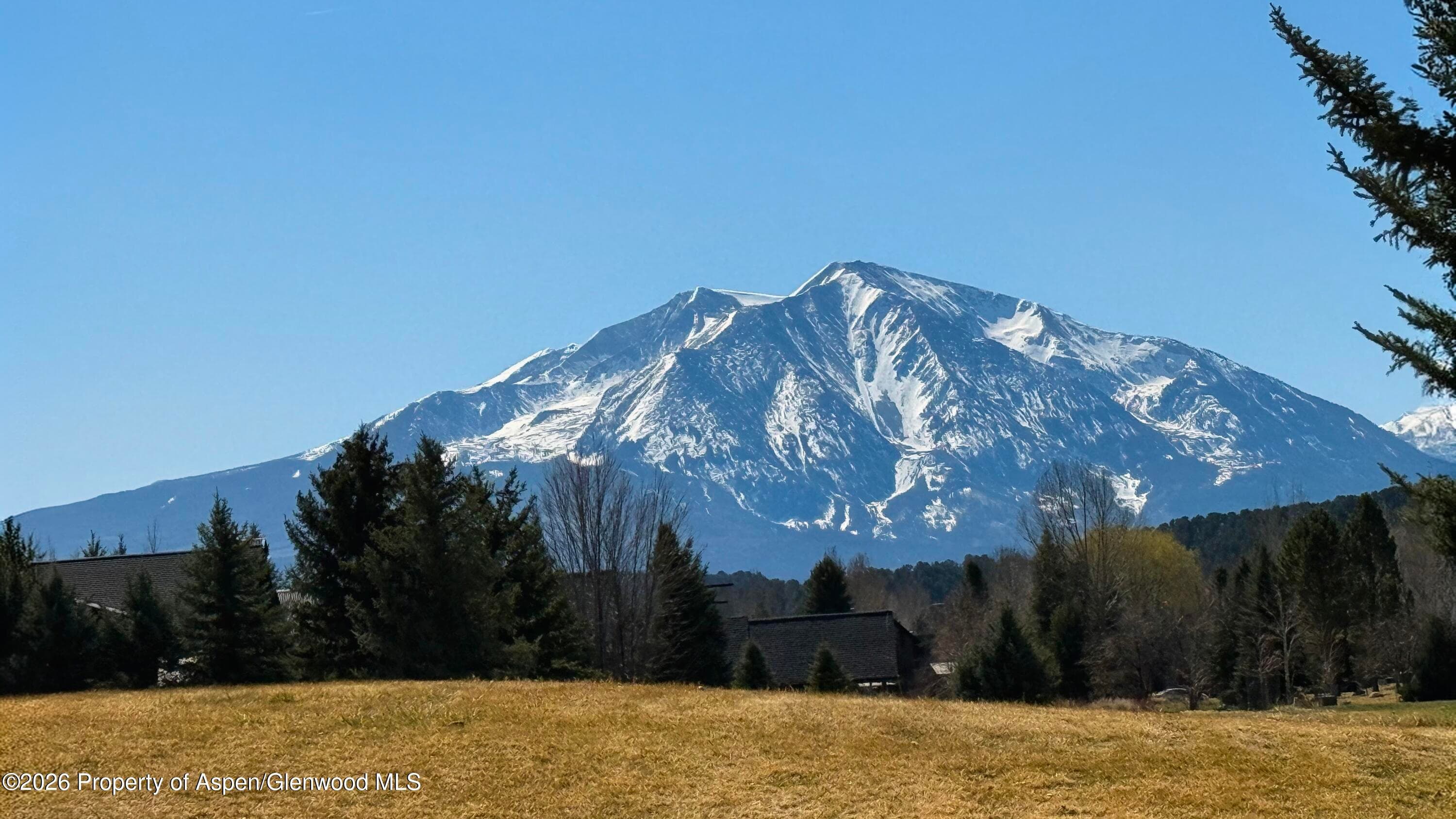 29 Primrose Road, Carbondale, CO 81623 - Photo 35