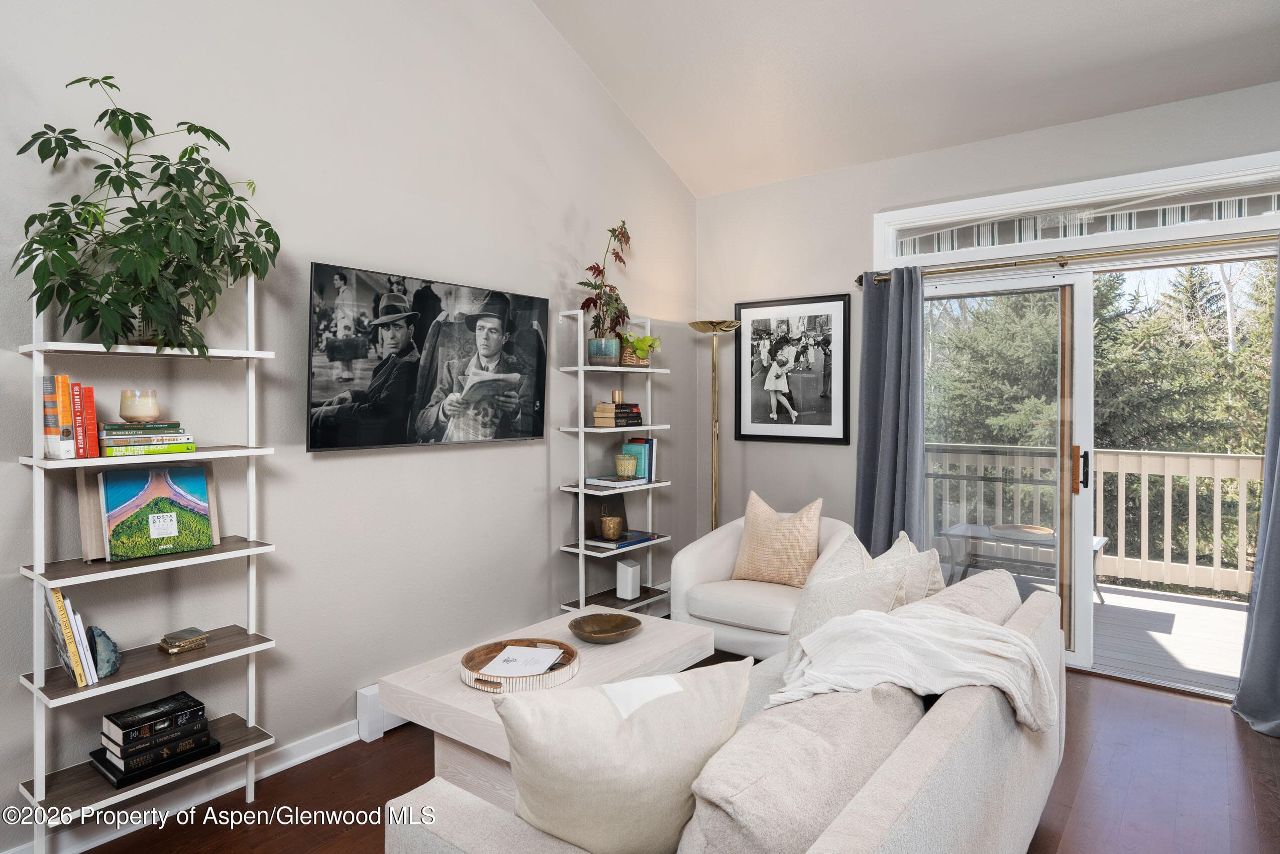 2003 Arbor Park Drive 1-B, Basalt, CO 81621 - Photo 4