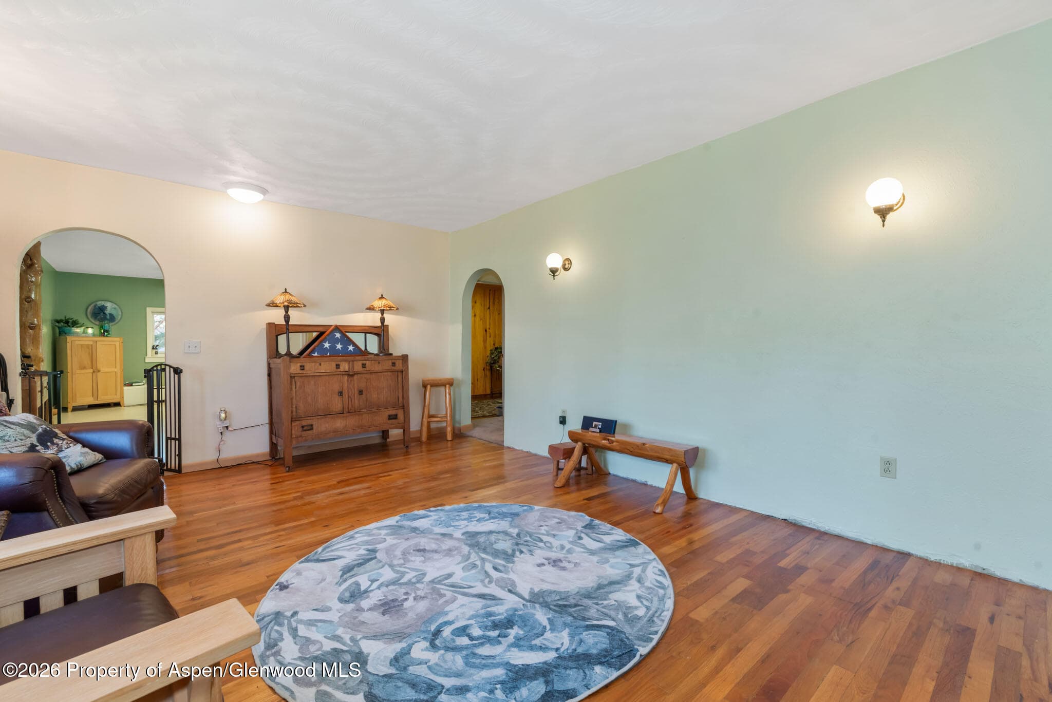 517 E Jefferson Avenue, Hayden, CO 81639 - Photo 5