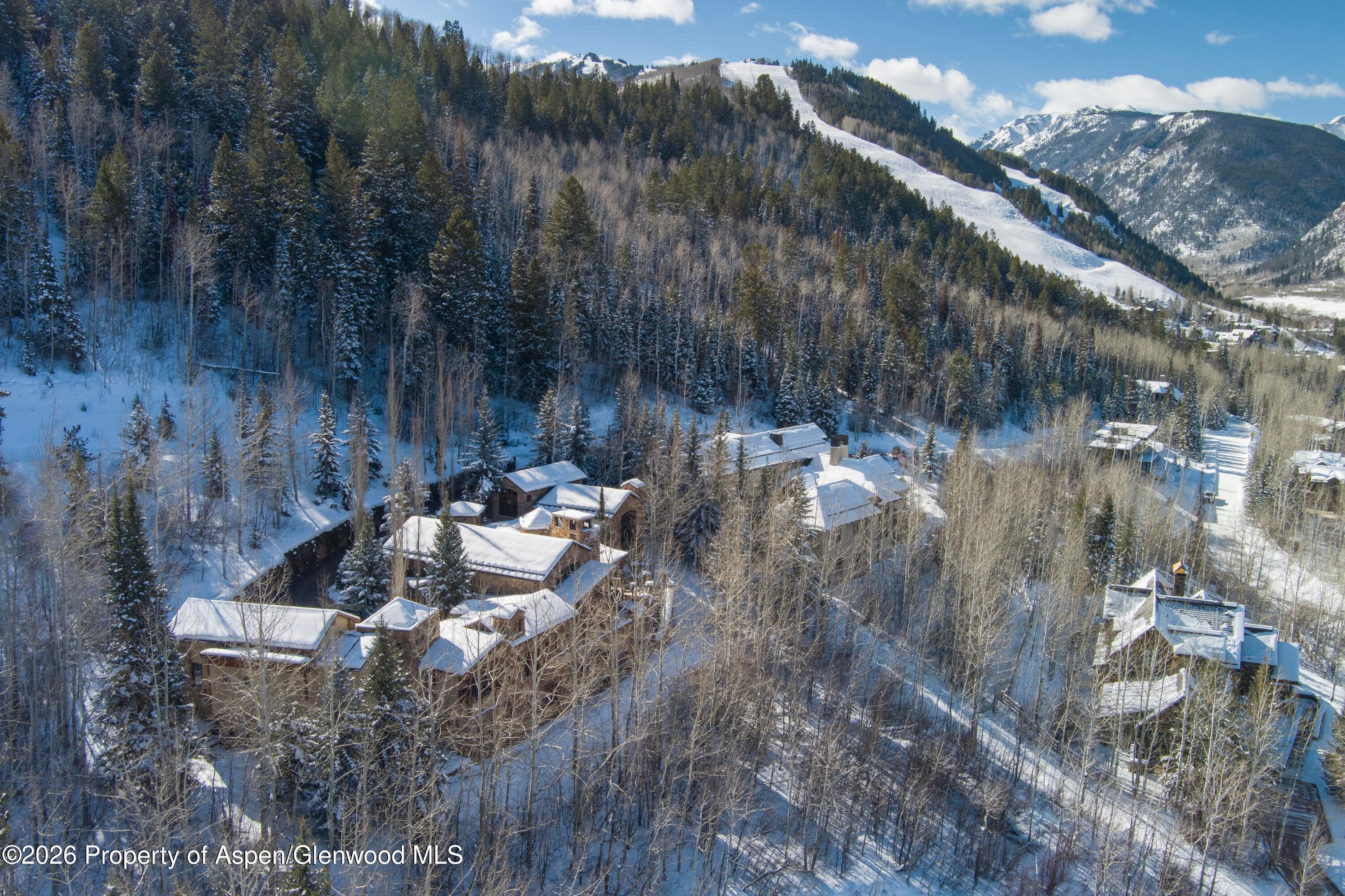170 Falcon Road, Aspen, CO 81611 - Photo 44