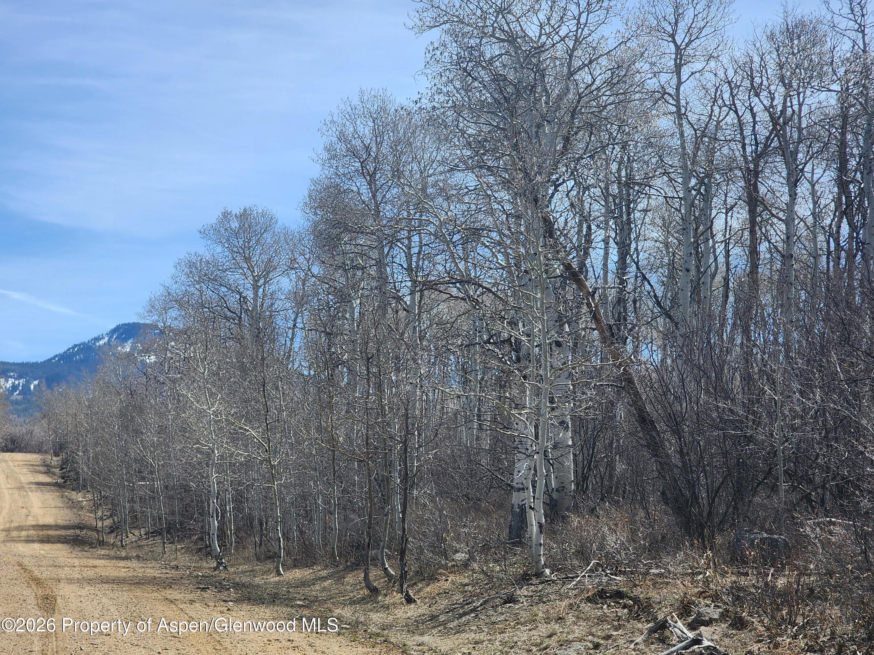 234 Tananger Lane, Craig, CO 81625 - Photo 9