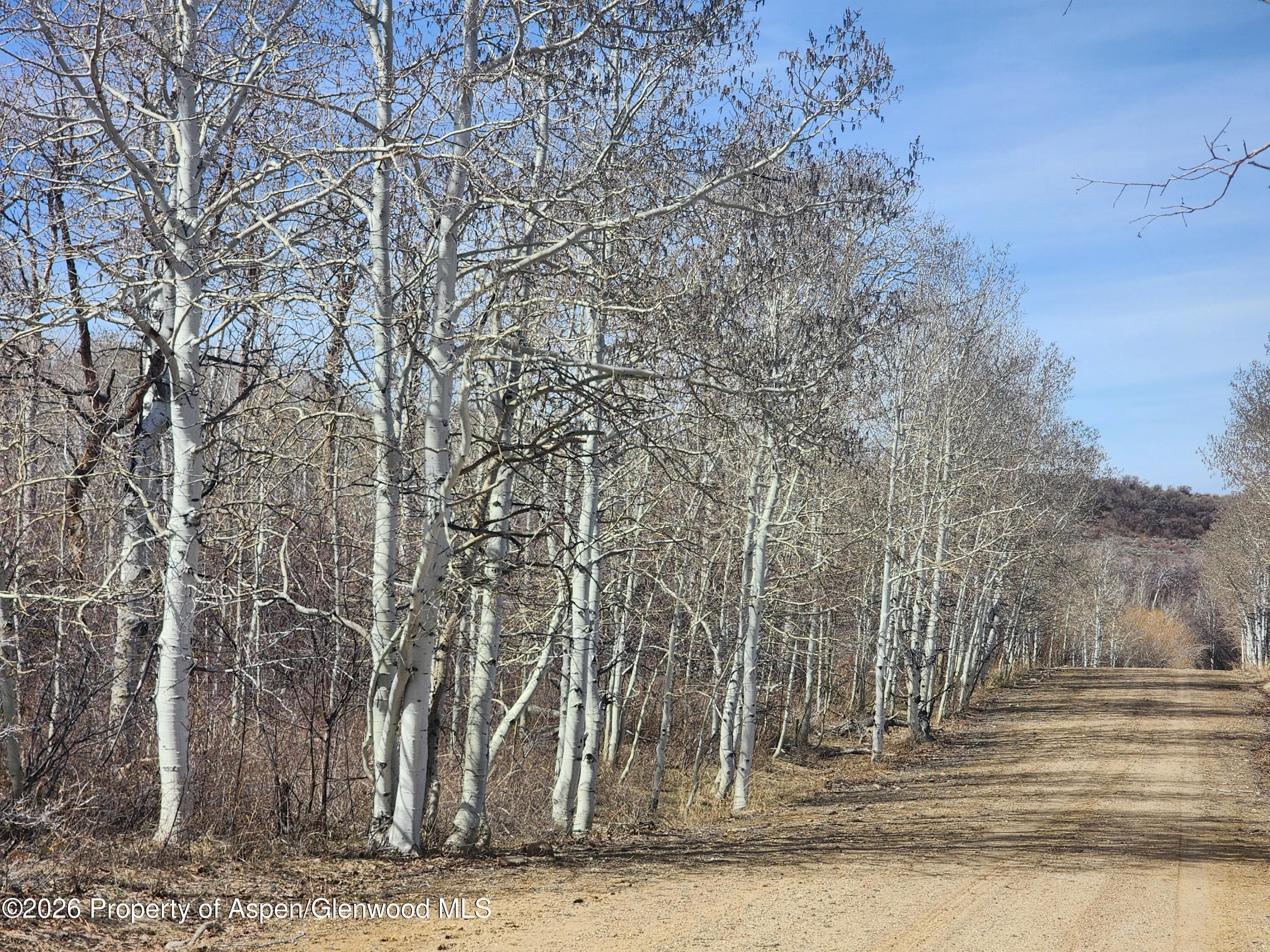 234 Tananger Lane, Craig, CO 81625 - Photo 6