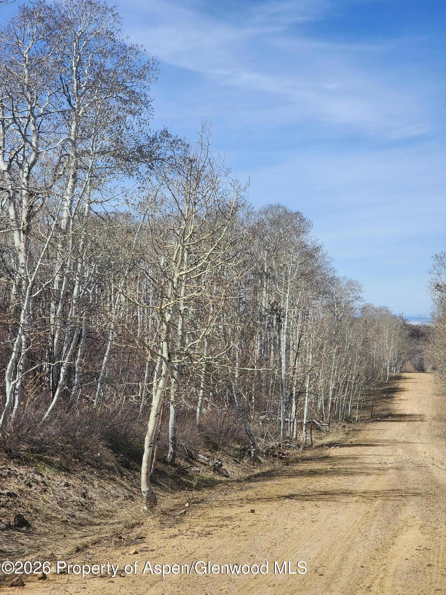 234 Tananger Lane, Craig, CO 81625 - Photo 7