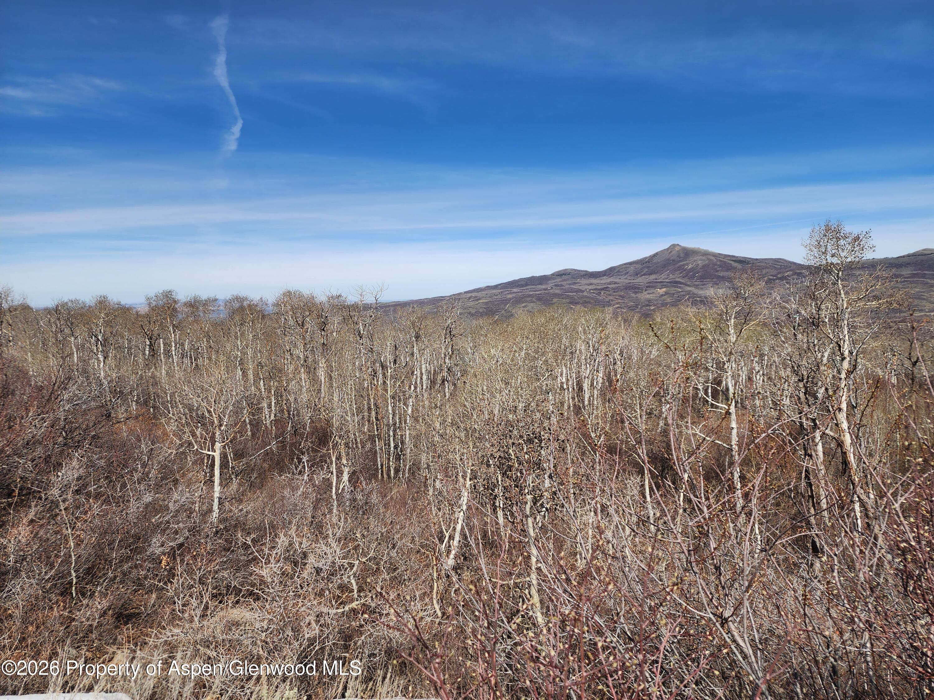234 Tananger Lane, Craig, CO 81625 - Photo 8