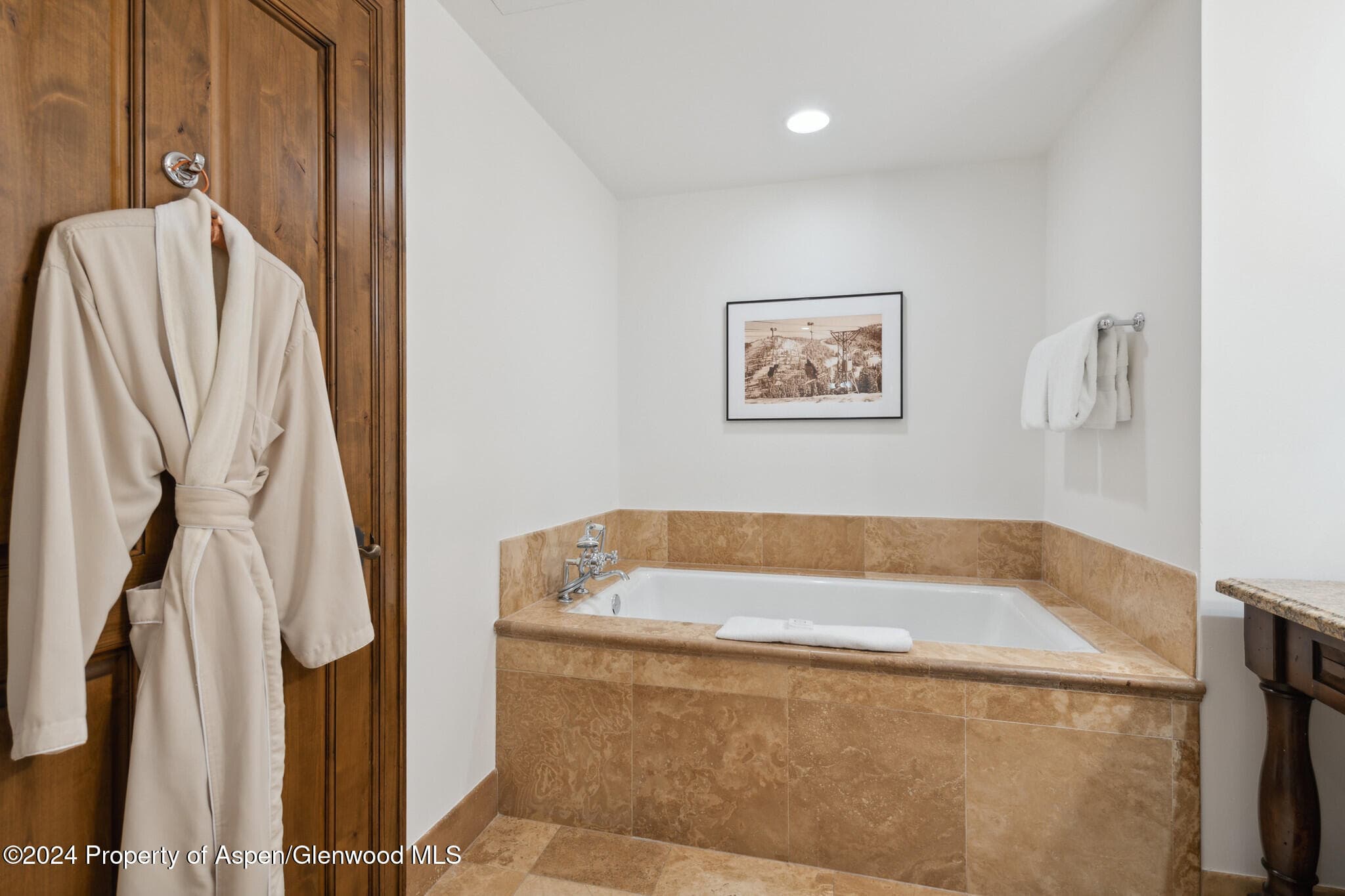415 E Dean St, Unit 10, Week 26, Aspen, CO 81611 - Photo 16
