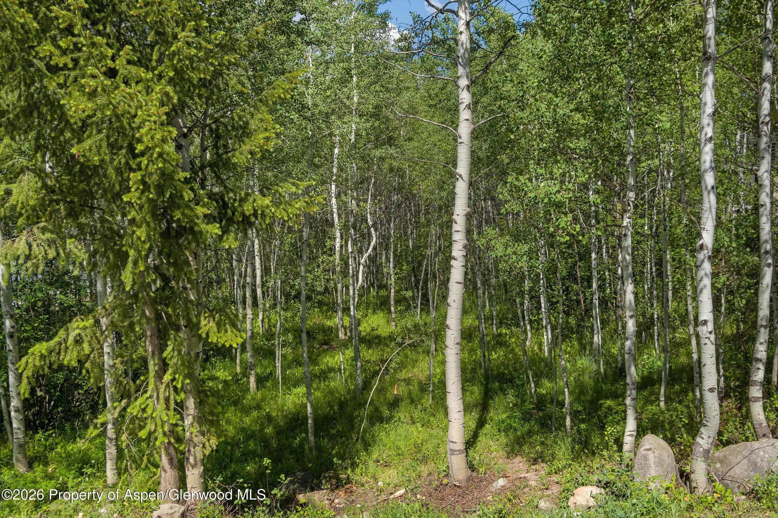 1265 Riverside Drive, Aspen, CO 81611 - Photo 4
