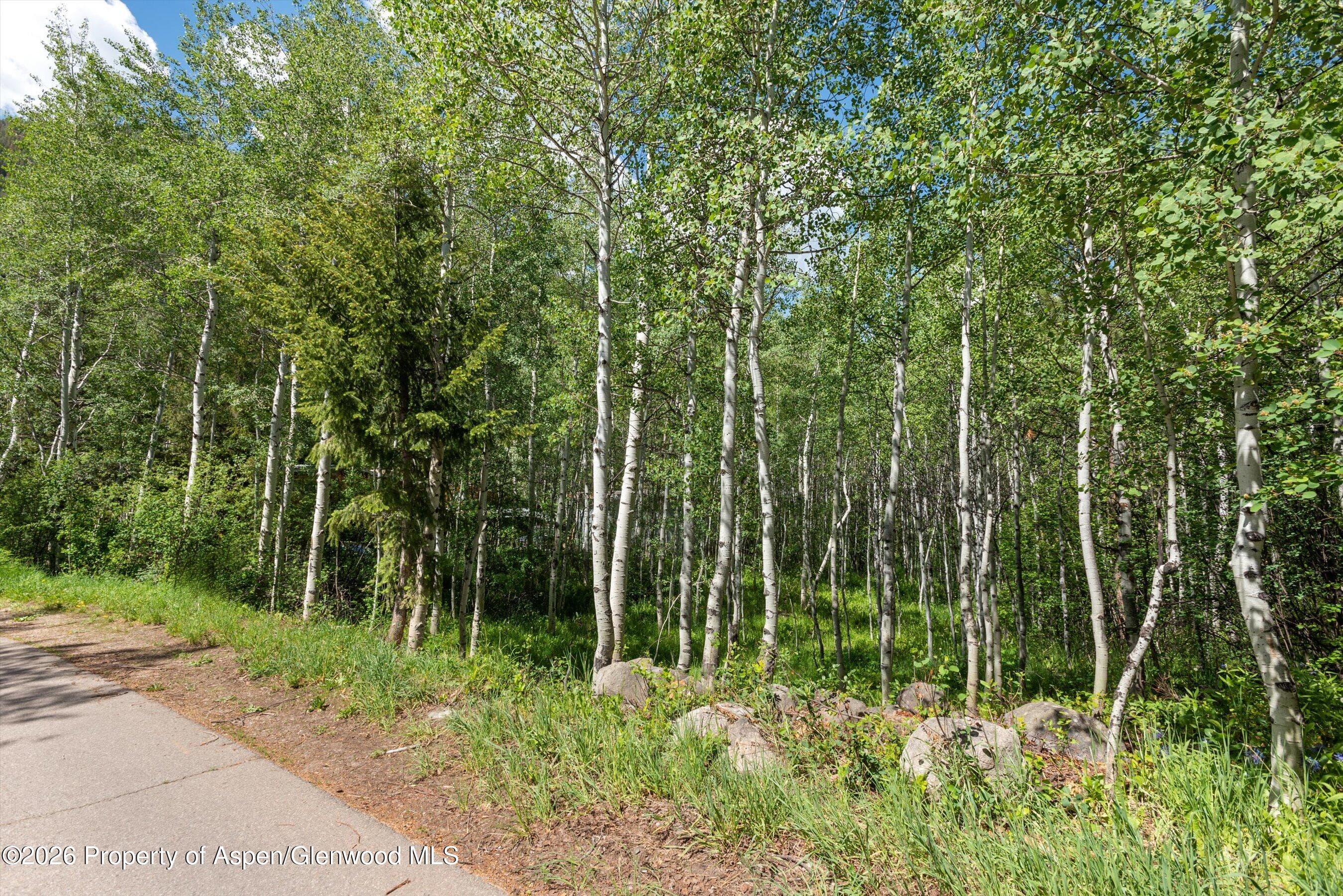 1265 Riverside Drive, Aspen, CO 81611 - Photo 6
