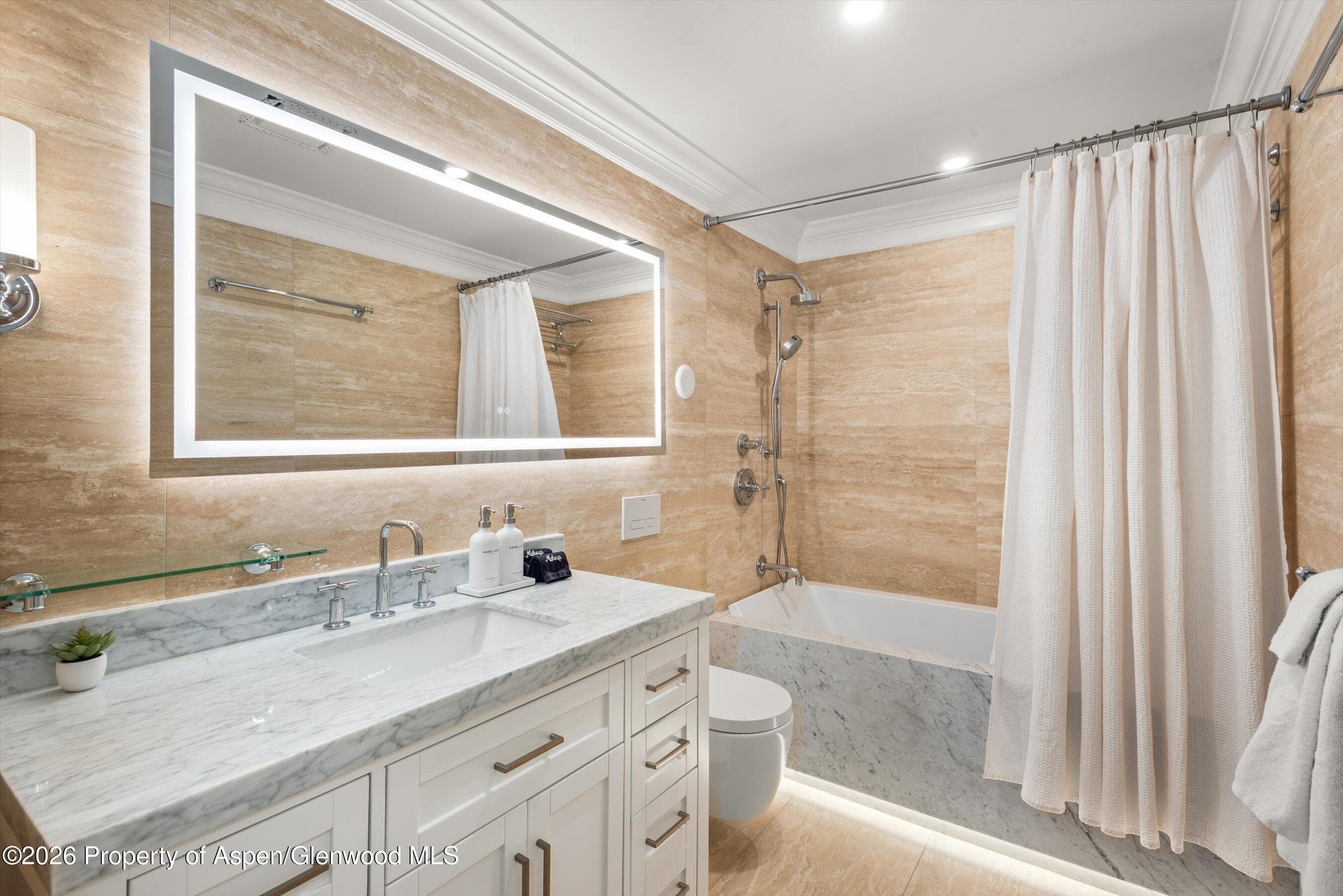 124 E Durant Avenue Unit 1, Aspen, CO 81611 - Photo 11