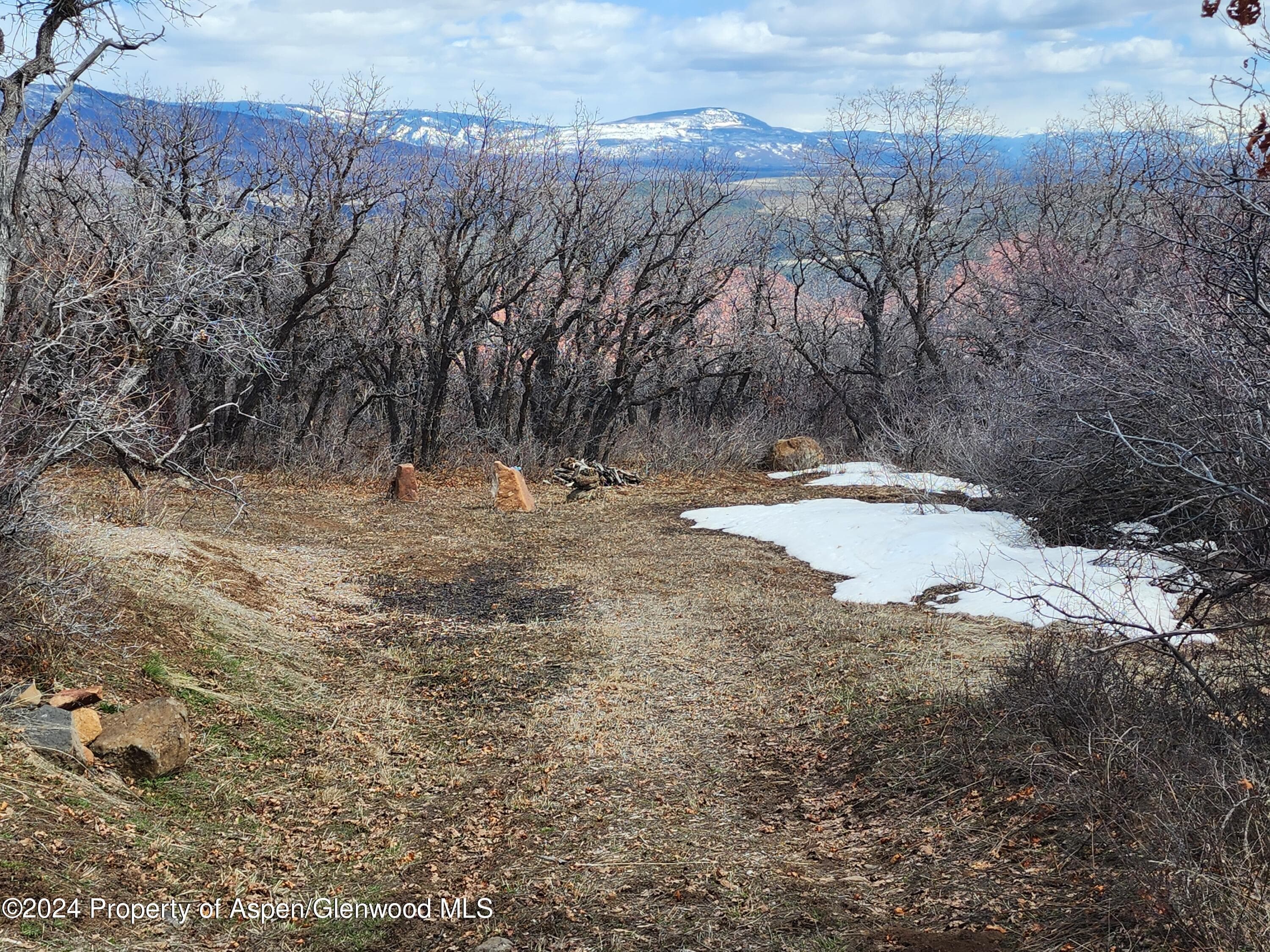 4500 Bear Wallow Lane, Glenwood Springs, CO 81601 - Photo 6