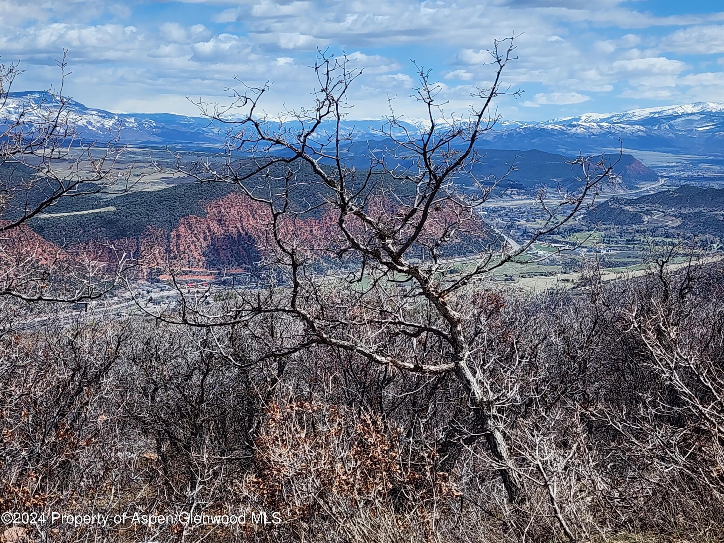 4500 Bear Wallow Lane, Glenwood Springs, CO 81601 - Photo 10