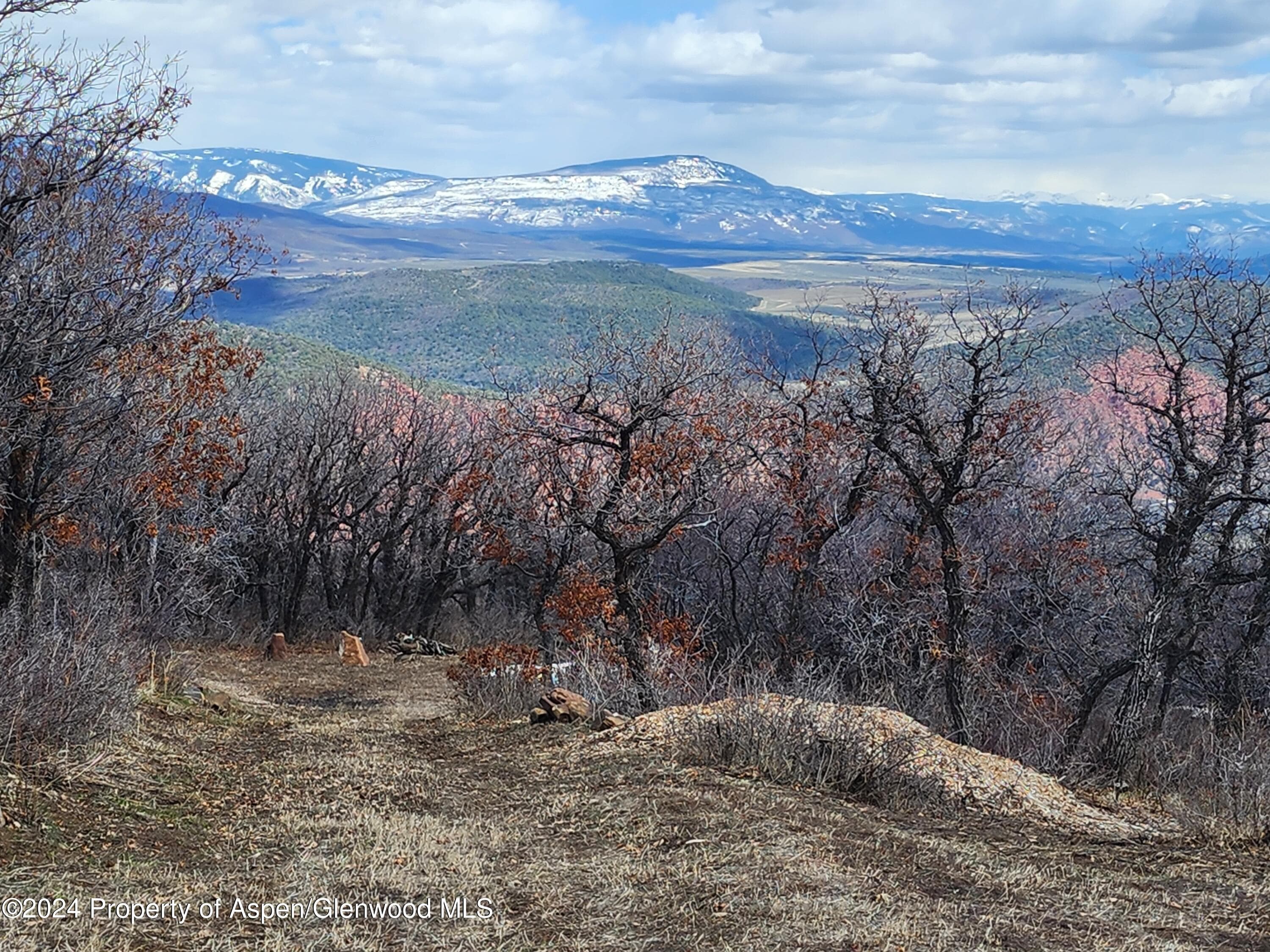 4500 Bear Wallow Lane, Glenwood Springs, CO 81601 - Photo 12