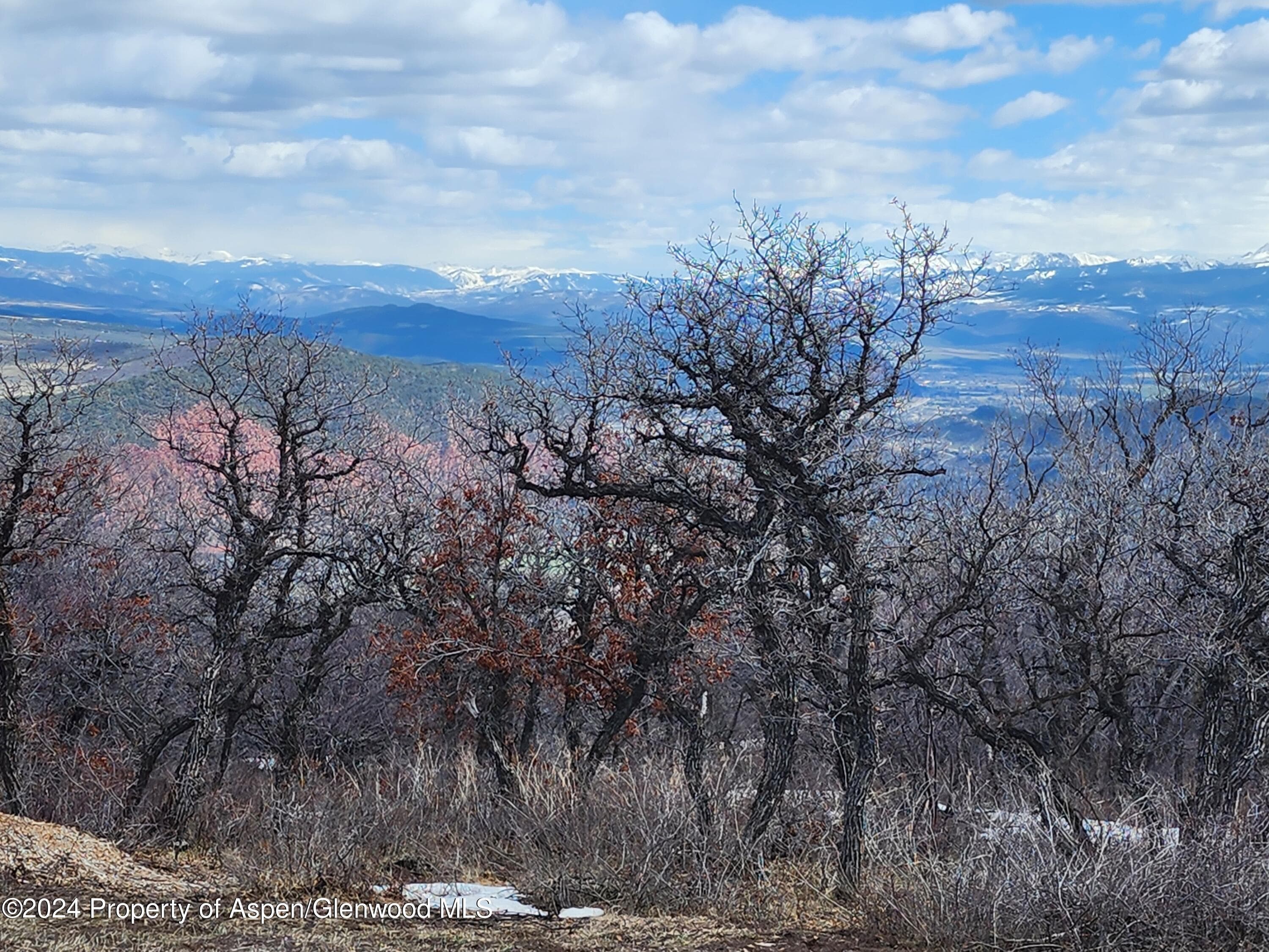 4500 Bear Wallow Lane, Glenwood Springs, CO 81601 - Photo 13