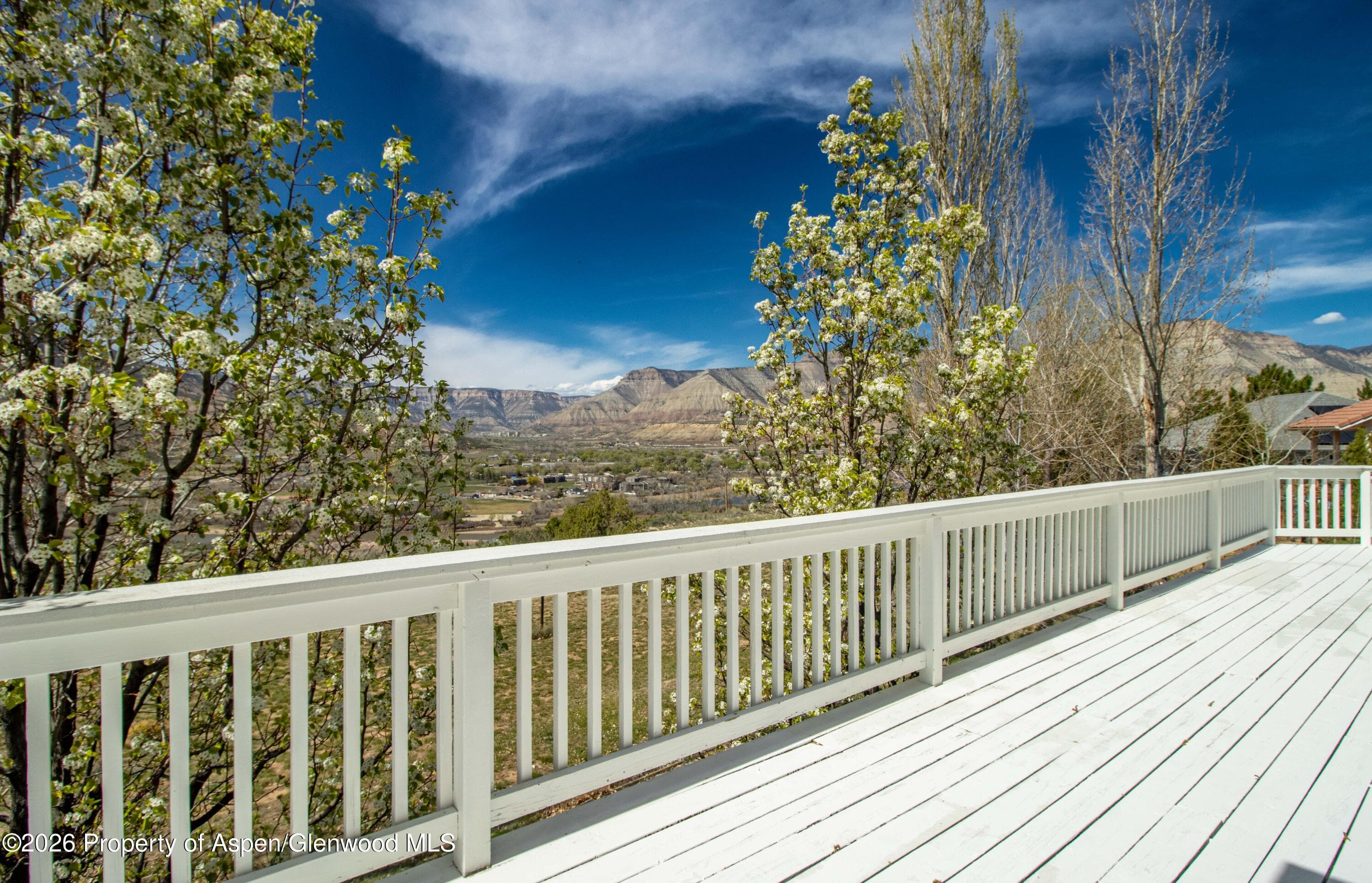 283 Lodgepole Circle, Parachute, CO 81635 - Photo 25