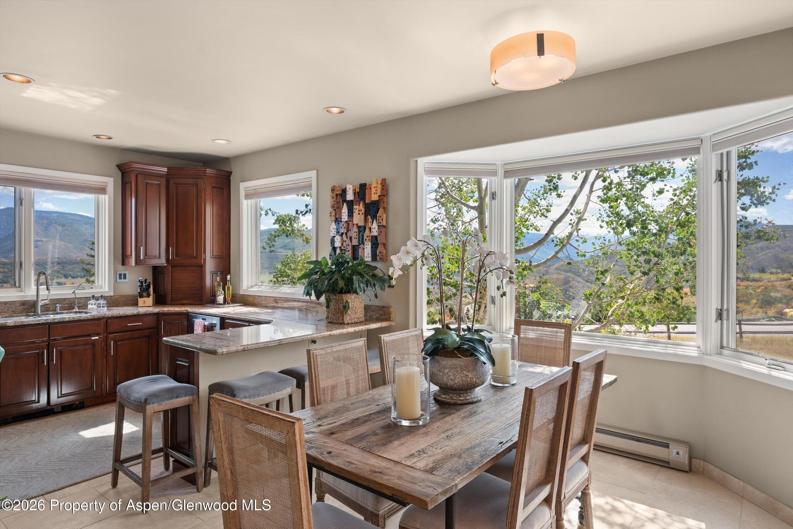 1560 Medicine Bow Road, Aspen, CO 81611 - Photo 17