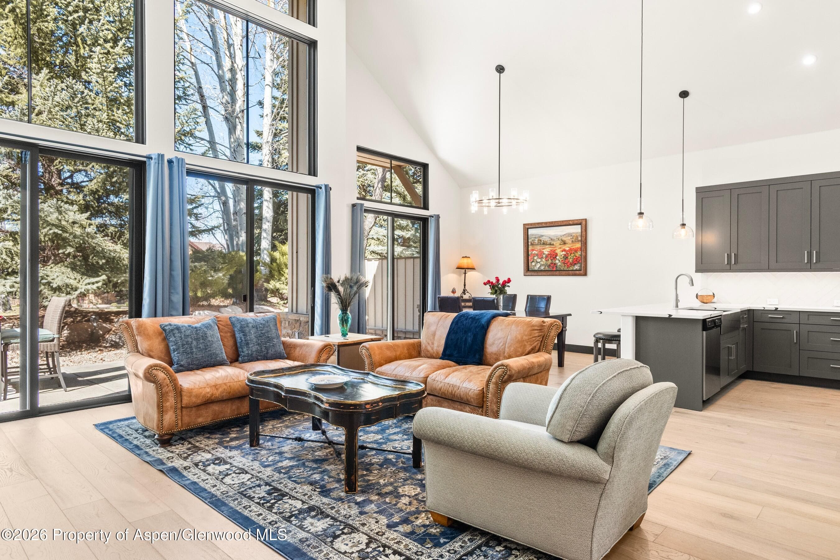 70 Golden Bear Drive, Carbondale, CO 81623 - Photo 2
