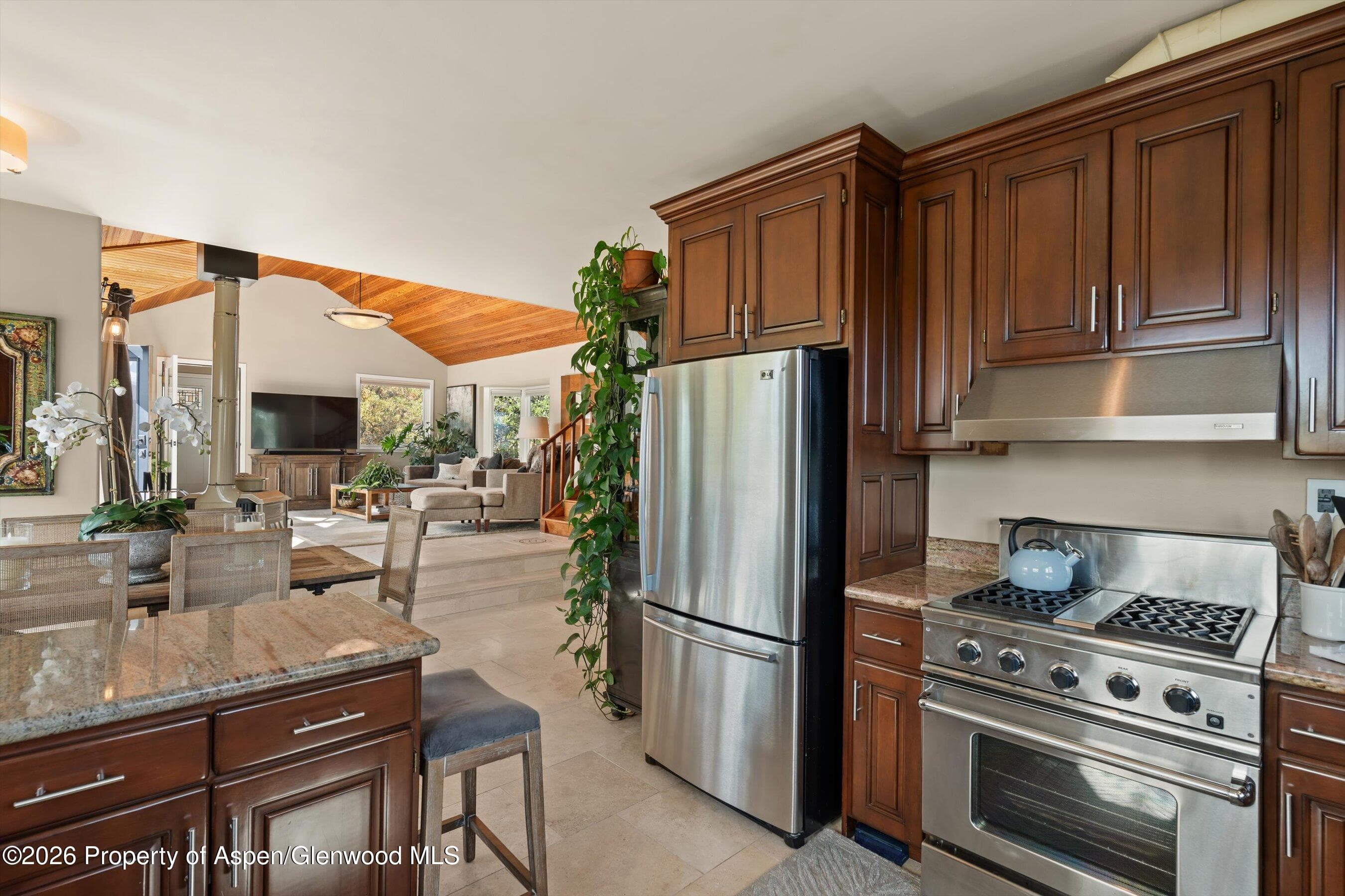 1560 Medicine Bow Road, Aspen, CO 81611 - Photo 18
