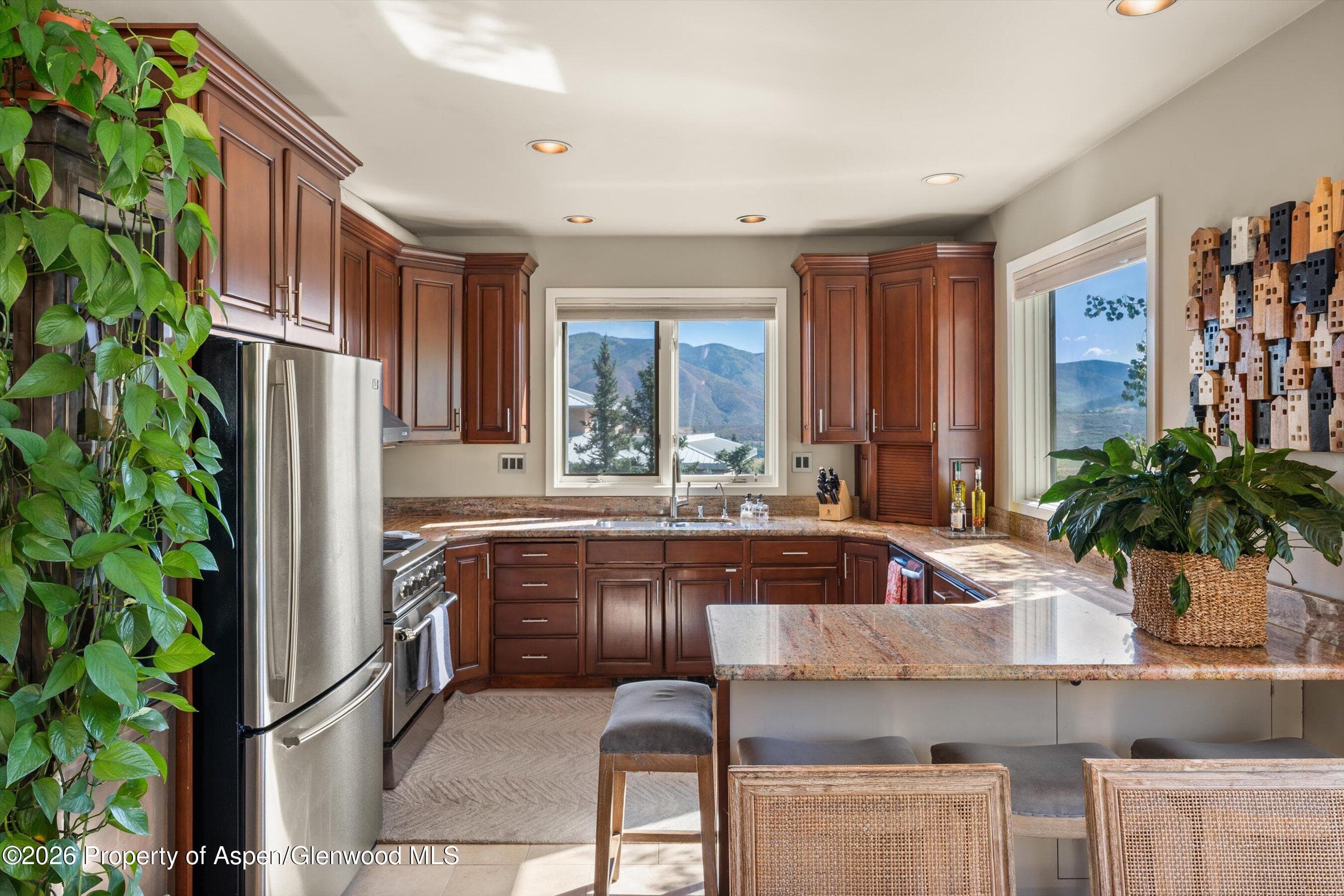 1560 Medicine Bow Road, Aspen, CO 81611 - Photo 19