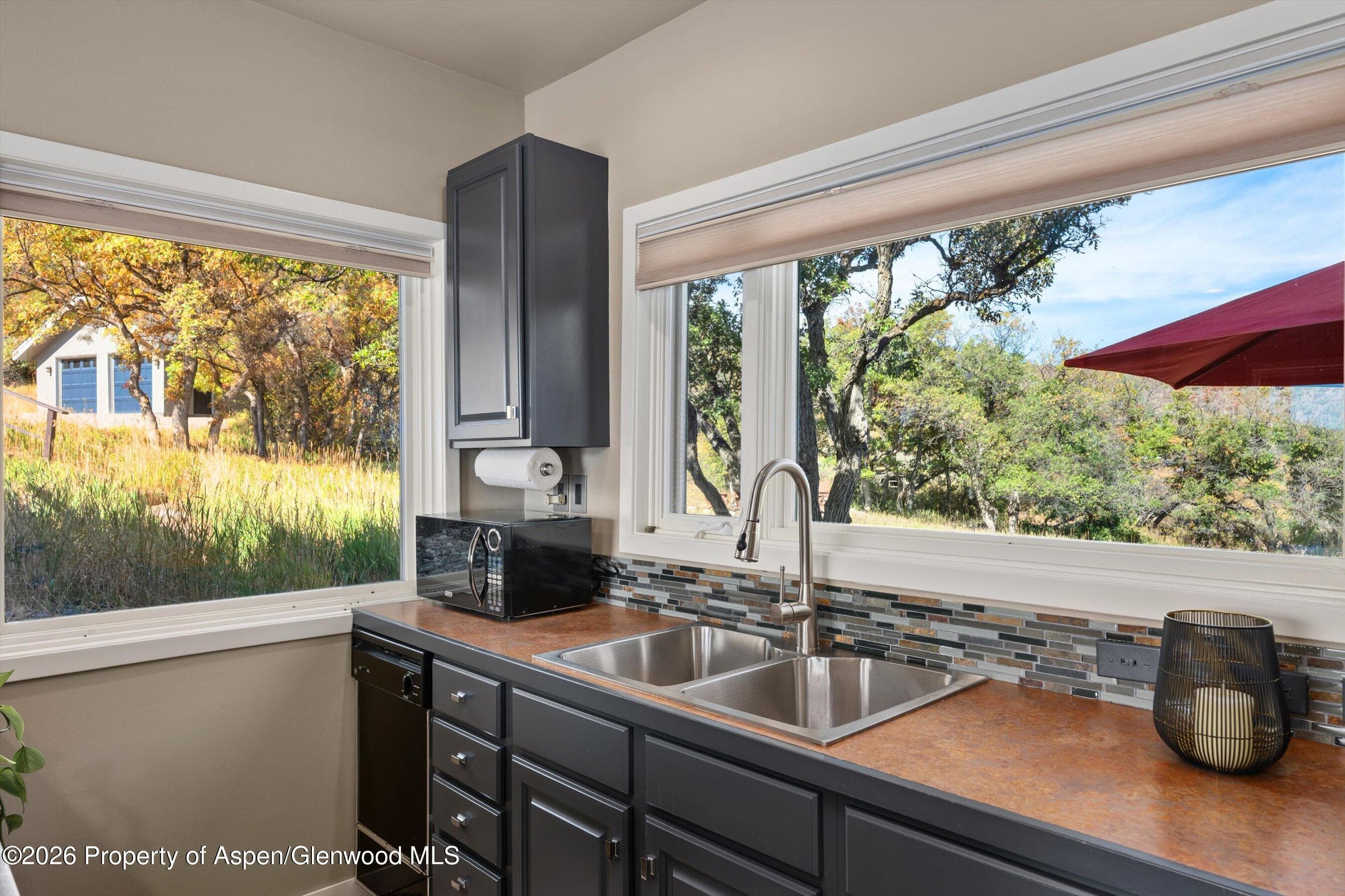 1560 Medicine Bow Road, Aspen, CO 81611 - Photo 29