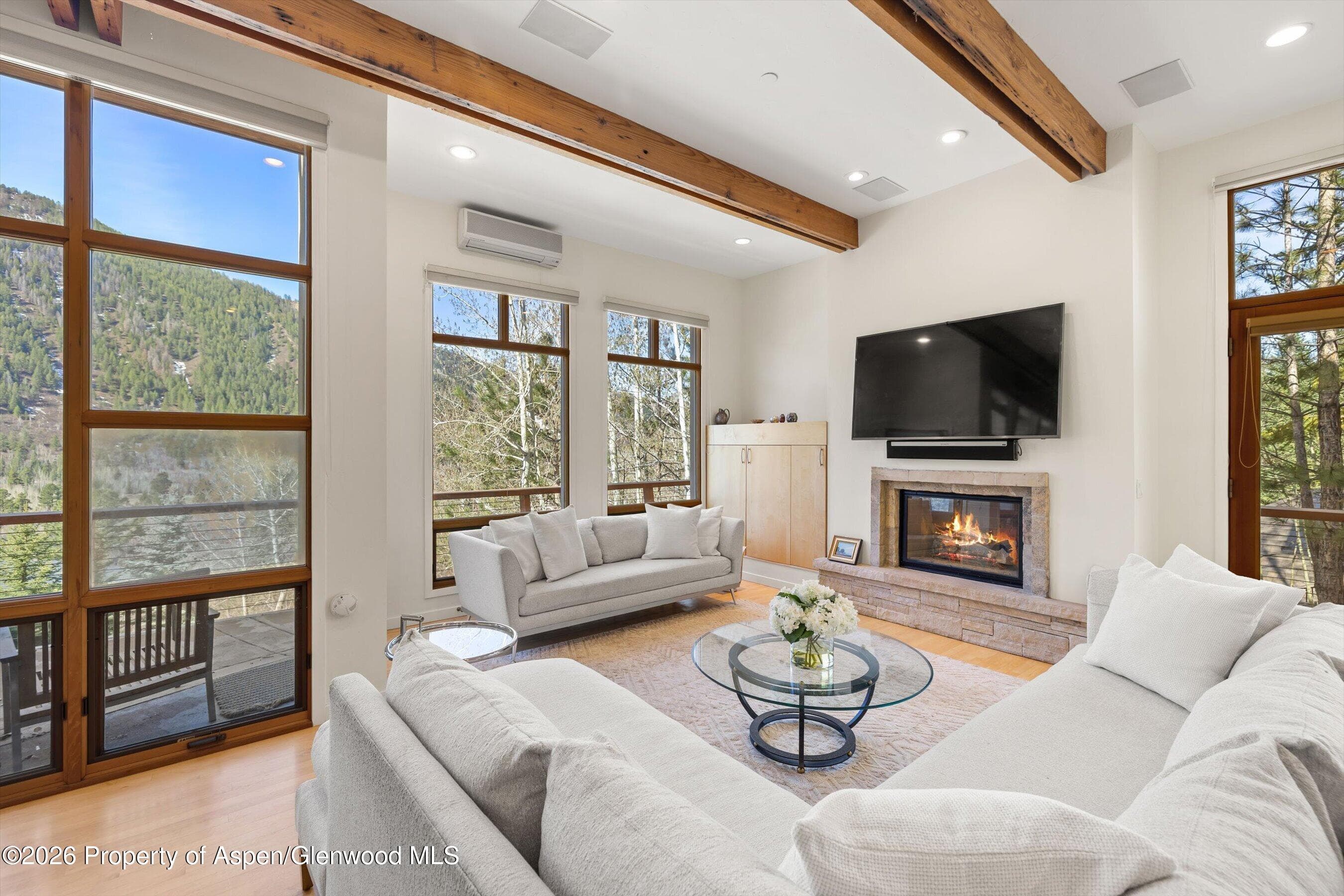 250 Mountain Laurel Drive A, Aspen, CO 81611 - Photo 2
