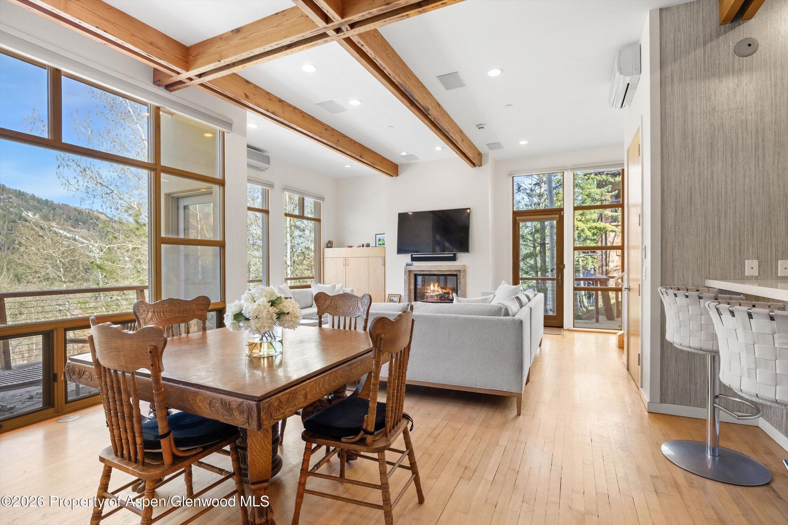 250 Mountain Laurel Drive A, Aspen, CO 81611 - Photo 4