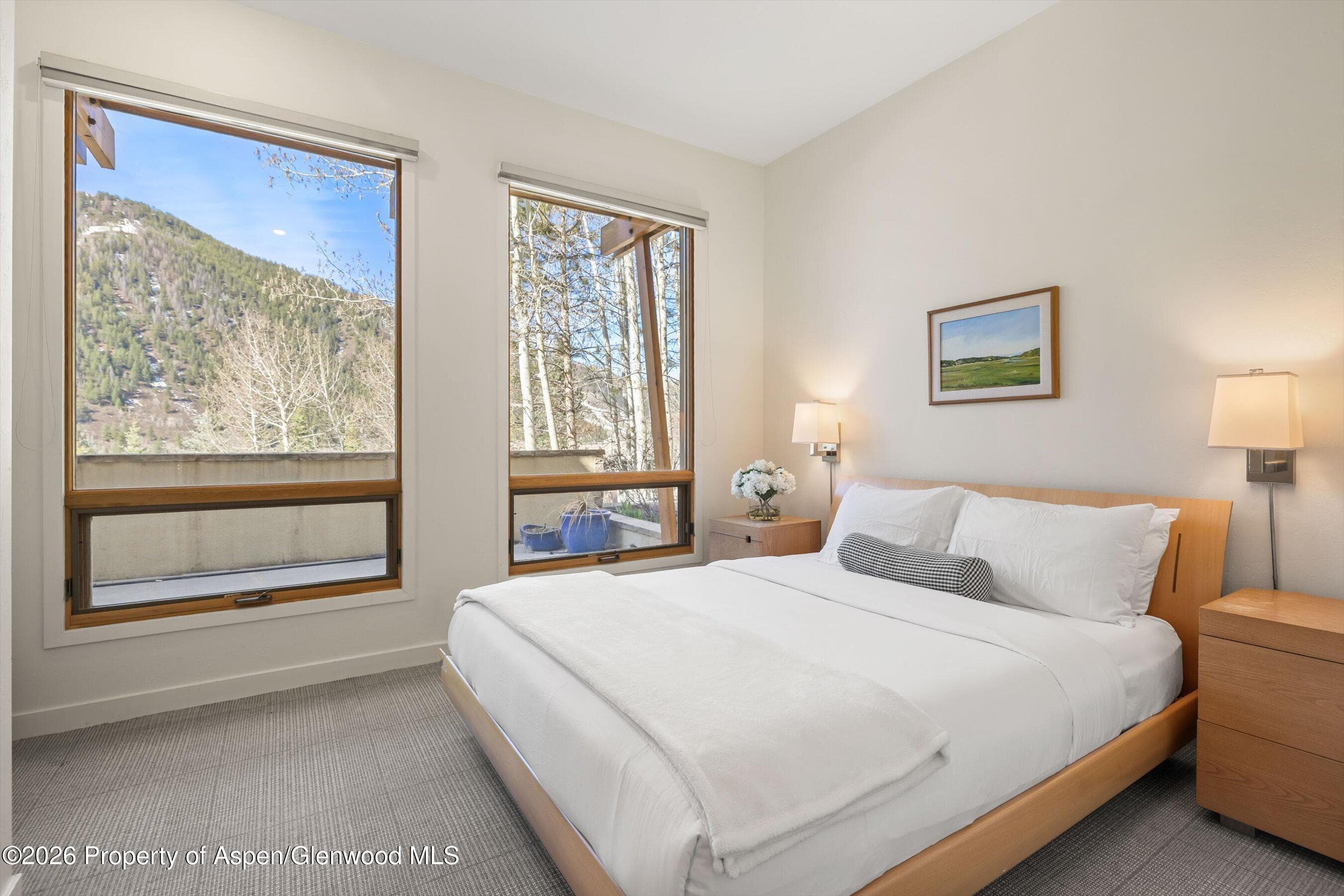 250 Mountain Laurel Drive A, Aspen, CO 81611 - Photo 10