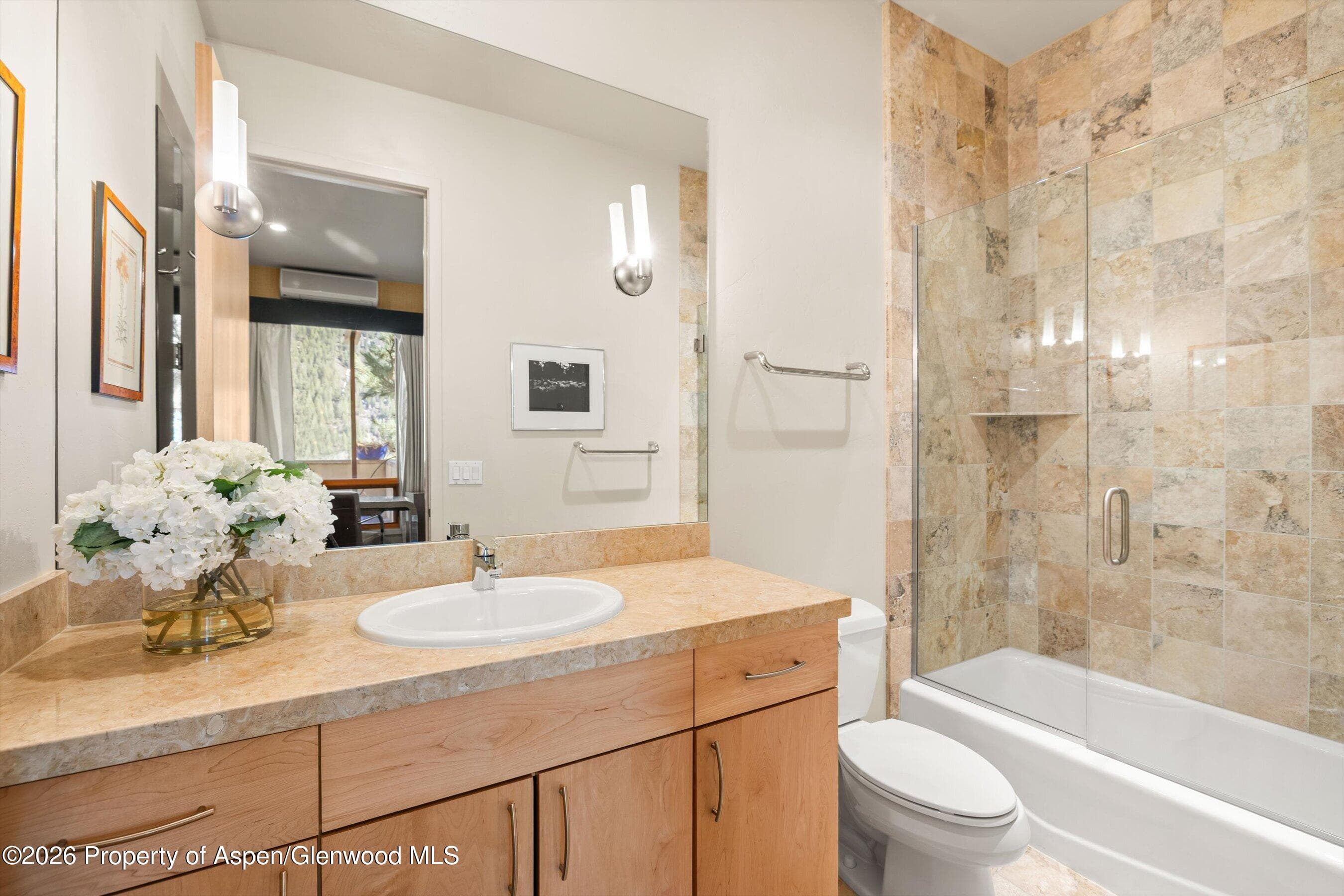 250 Mountain Laurel Drive A, Aspen, CO 81611 - Photo 13