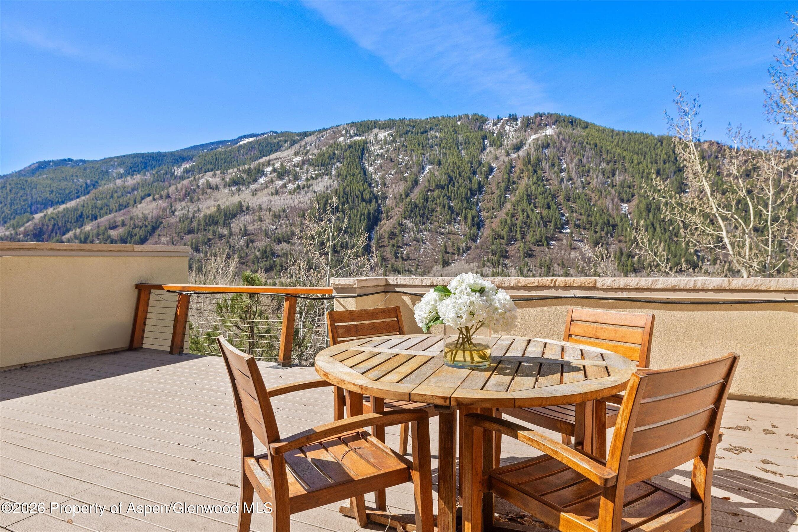 250 Mountain Laurel Drive A, Aspen, CO 81611 - Photo 18