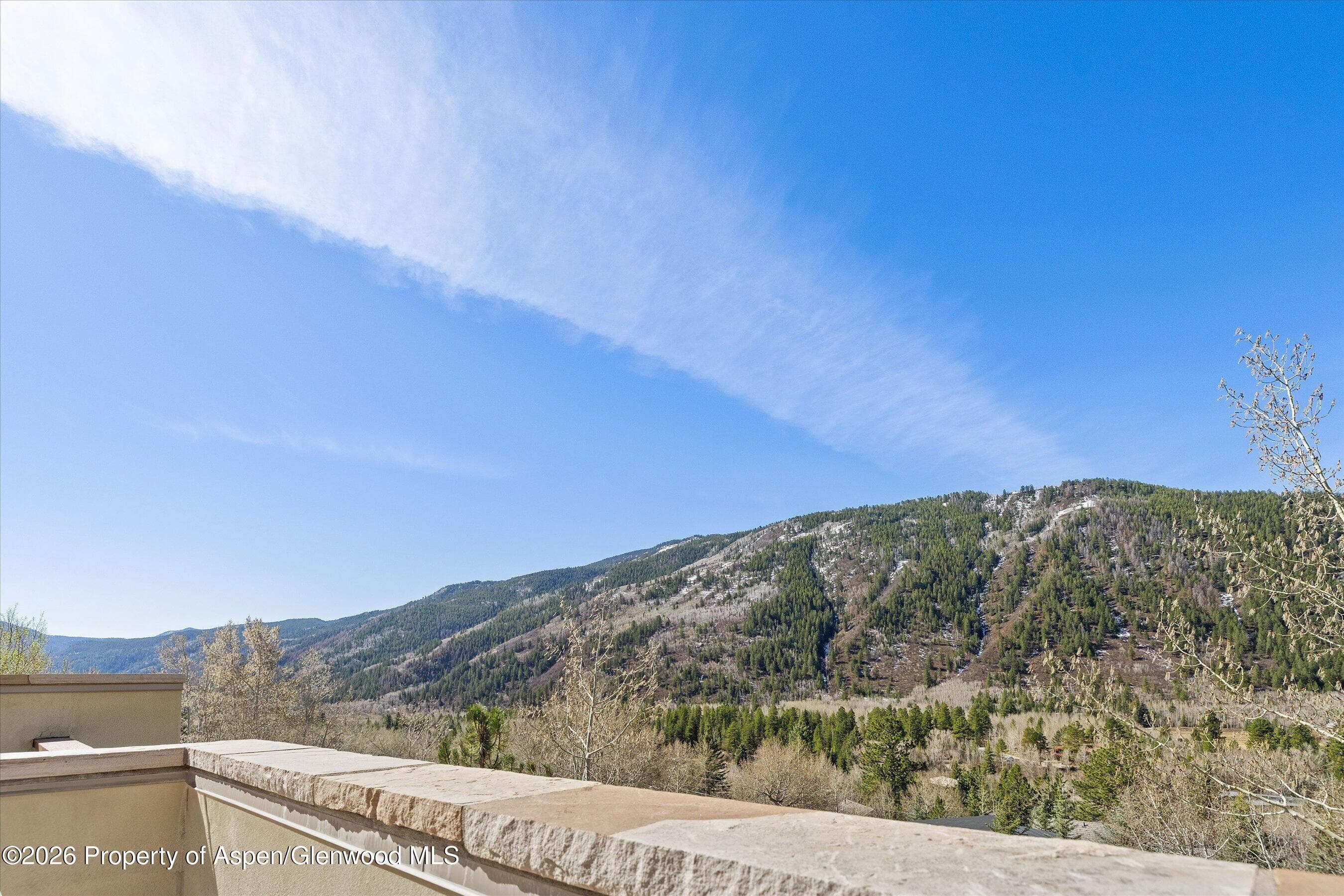 250 Mountain Laurel Drive A, Aspen, CO 81611 - Photo 19