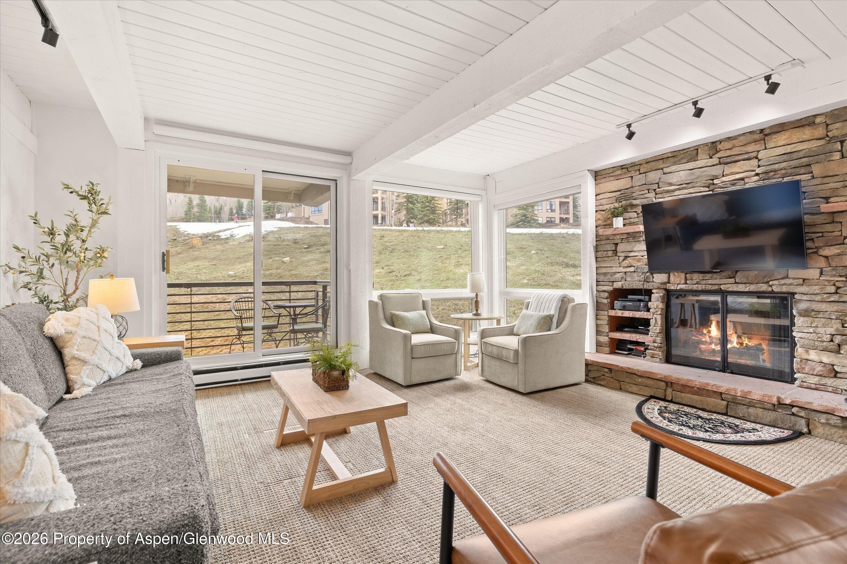 360 Wood Road 209, Snowmass Village, CO 81615 - Photo 2