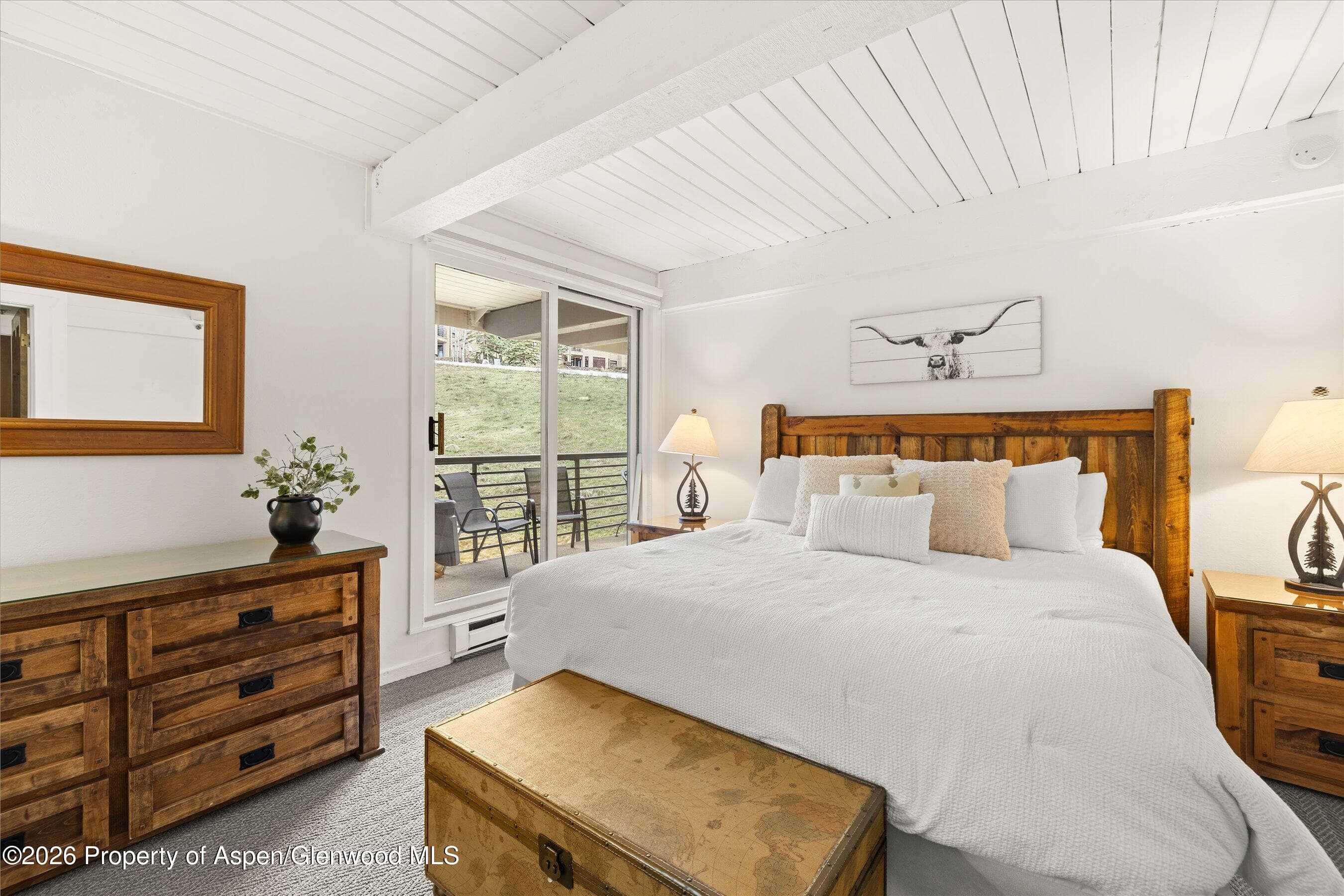 360 Wood Road 209, Snowmass Village, CO 81615 - Photo 9