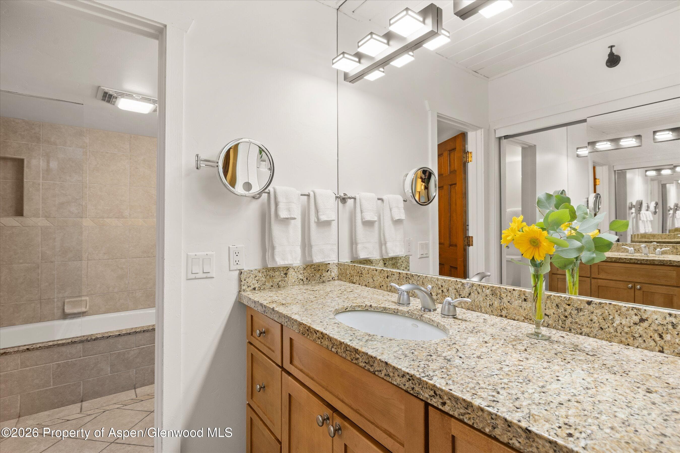 360 Wood Road 209, Snowmass Village, CO 81615 - Photo 10