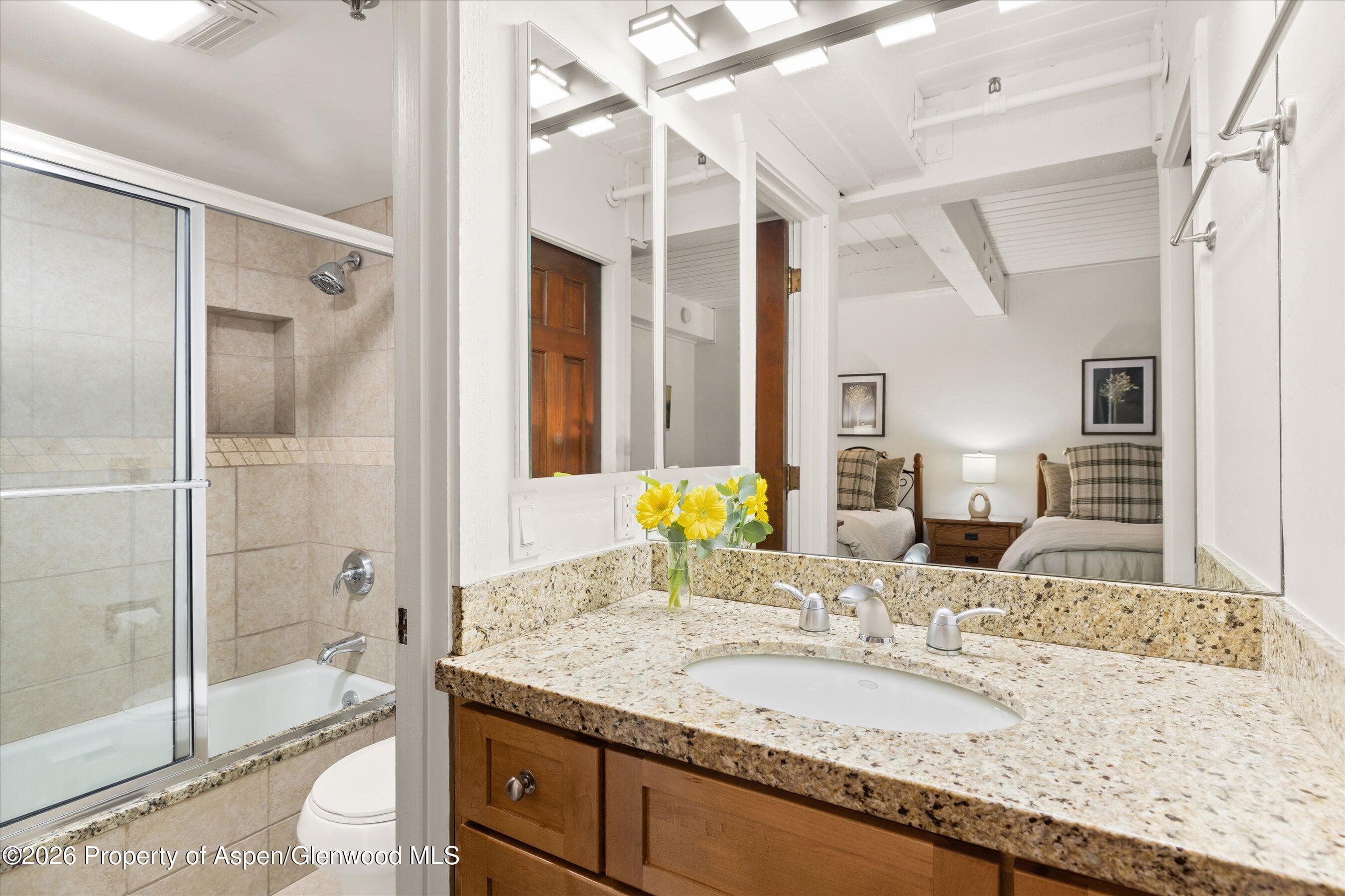 360 Wood Road 209, Snowmass Village, CO 81615 - Photo 12