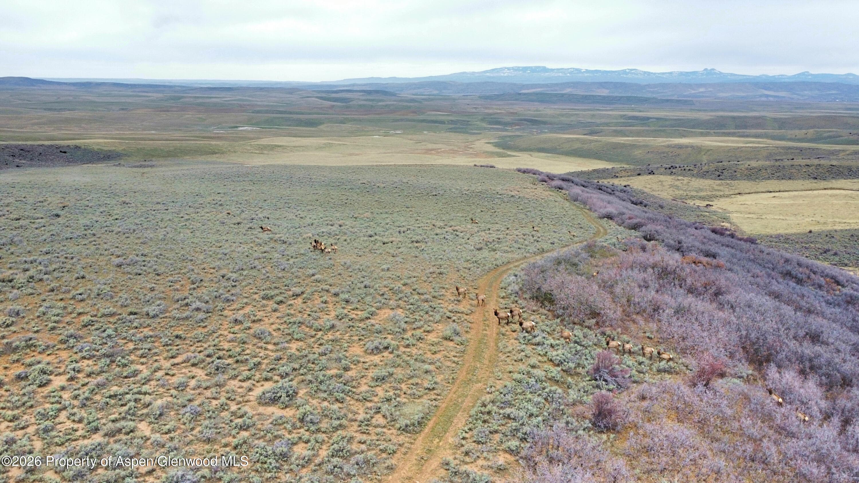Tbd County Road 57, Hayden, CO 81639 - Photo 33