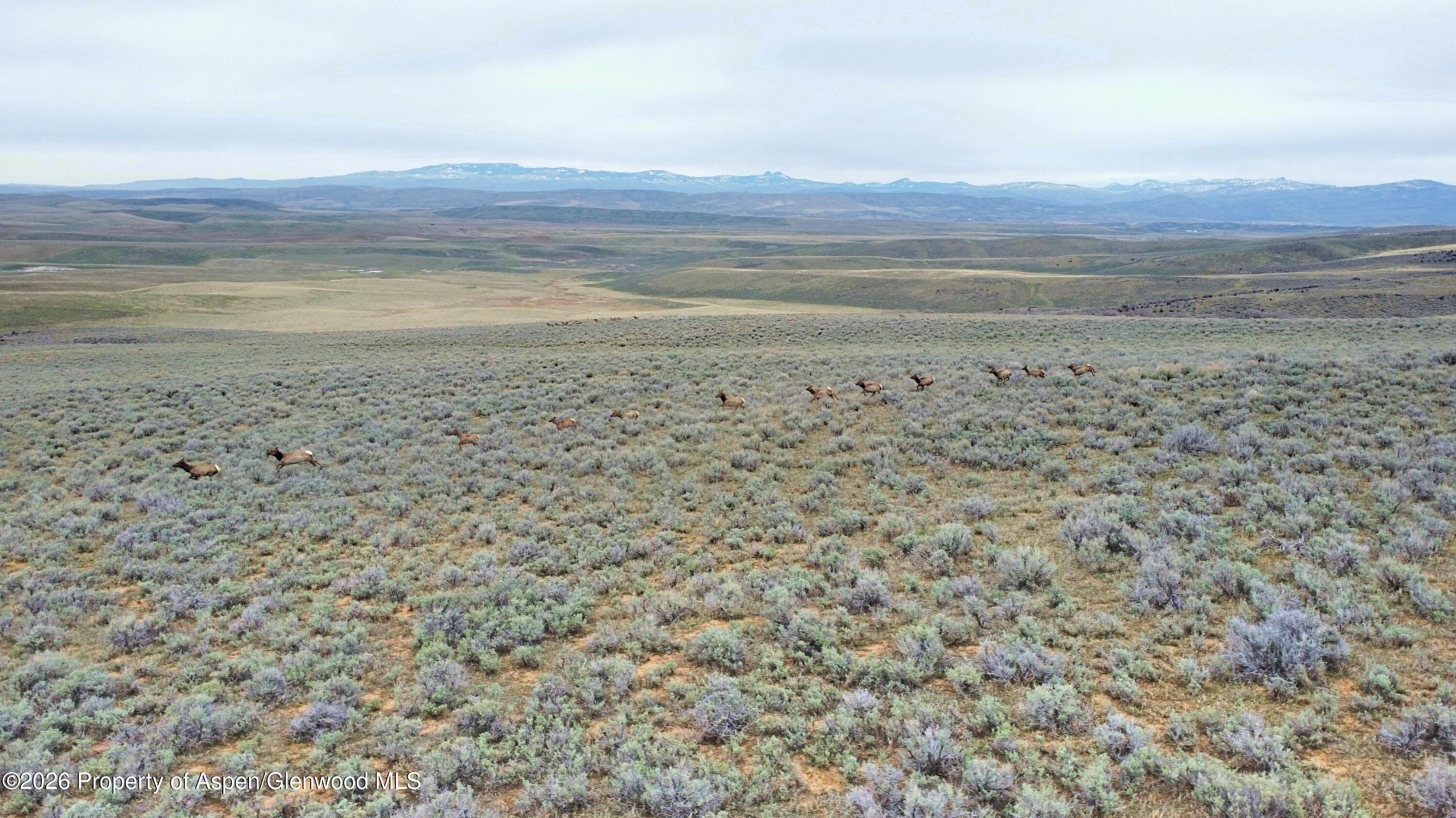 Tbd County Road 57, Hayden, CO 81639 - Photo 39