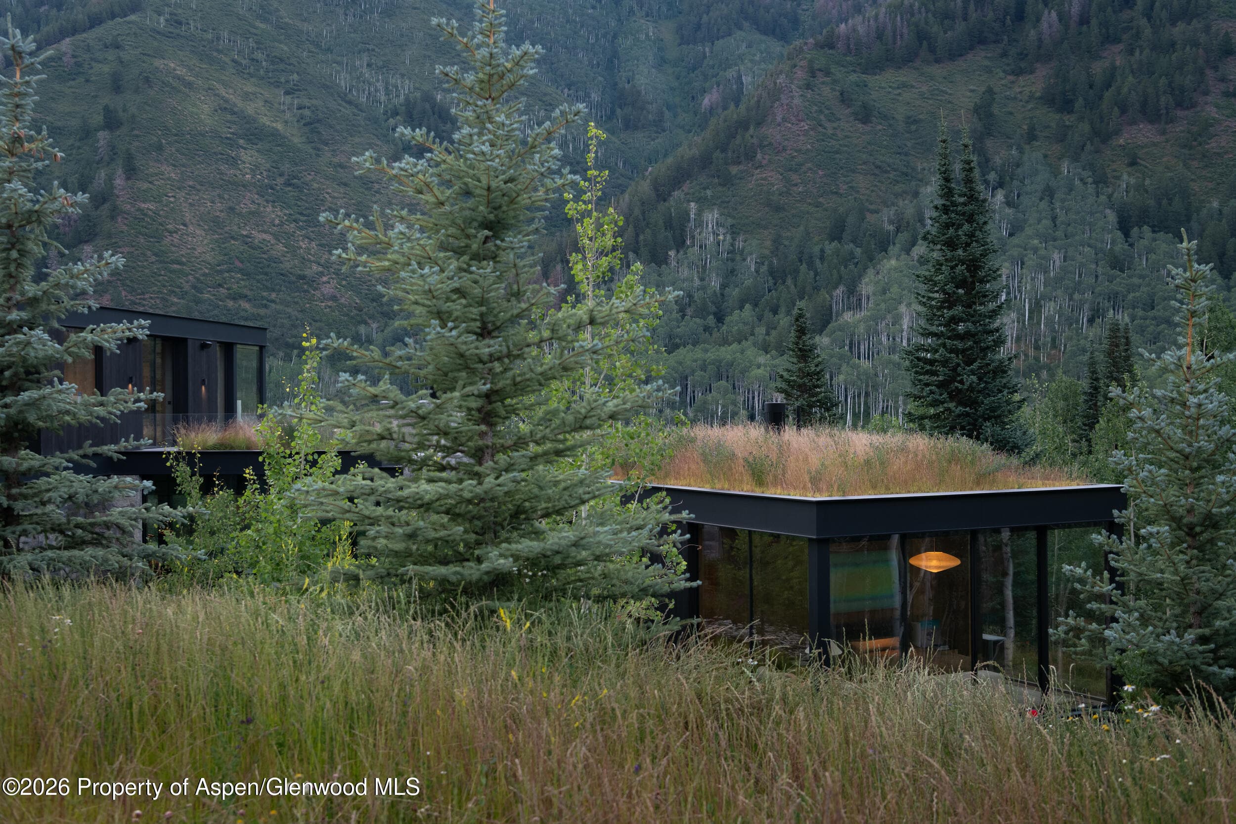 724 N Hayden Road, Aspen, CO 81611 - Photo 43